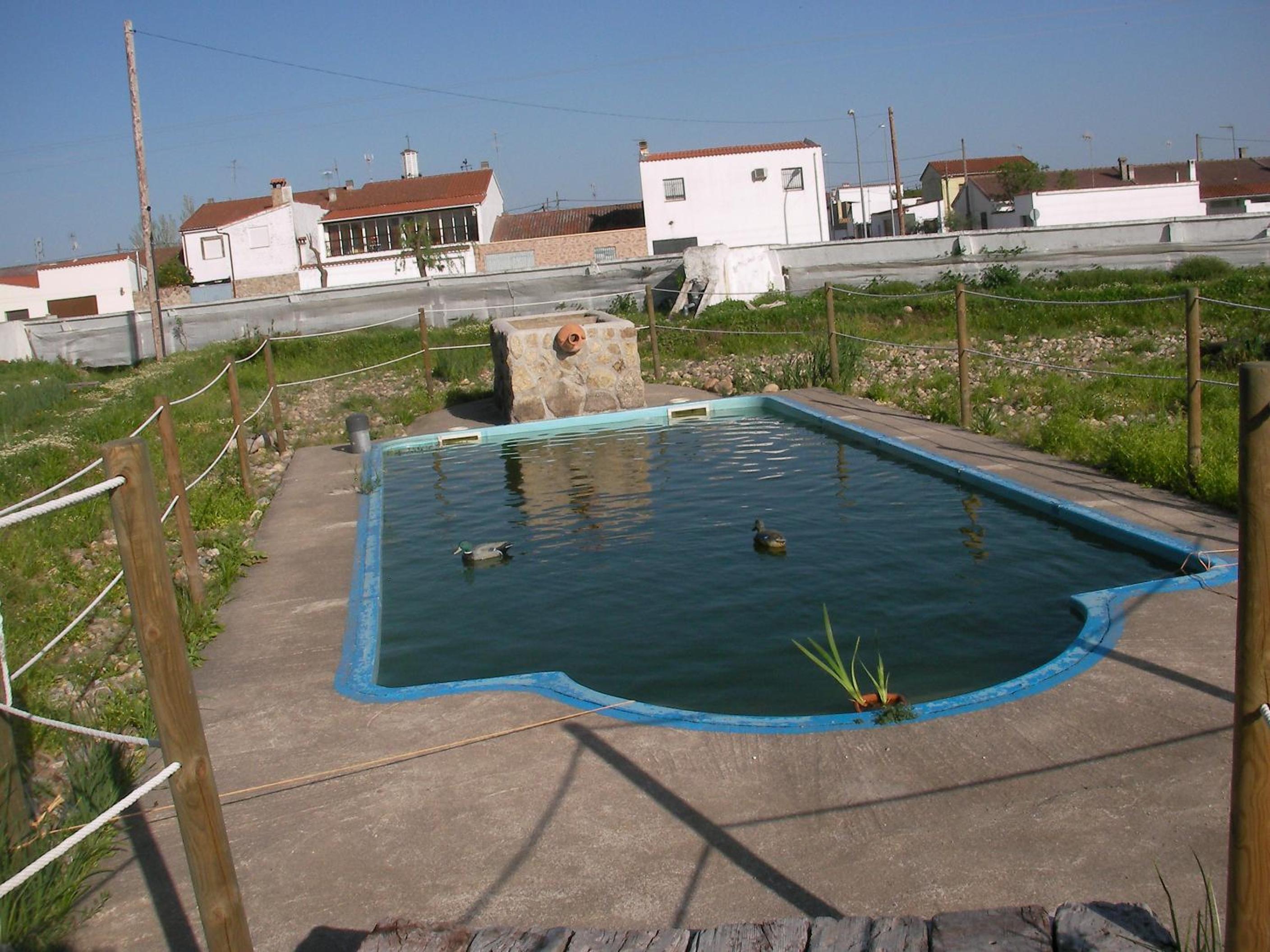 Photo 44