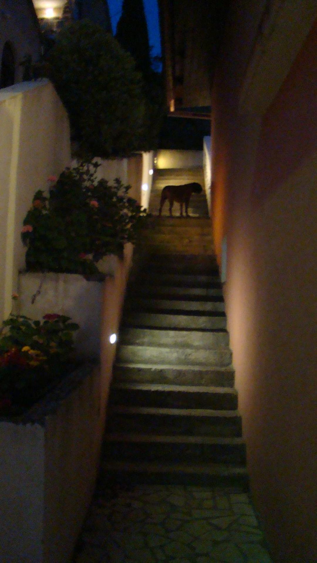 Photo 33