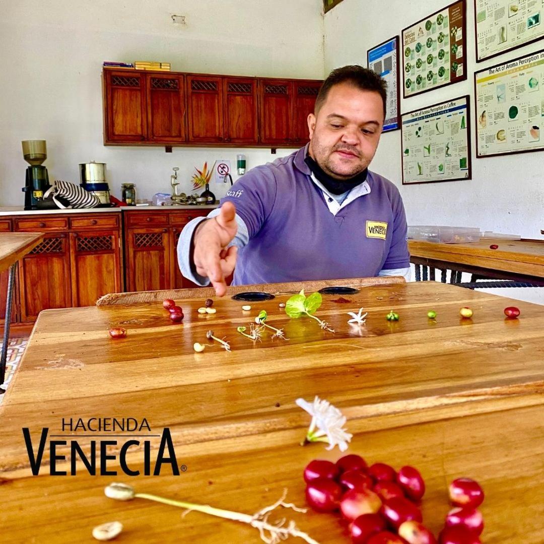 Hacienda Venecia Hostel