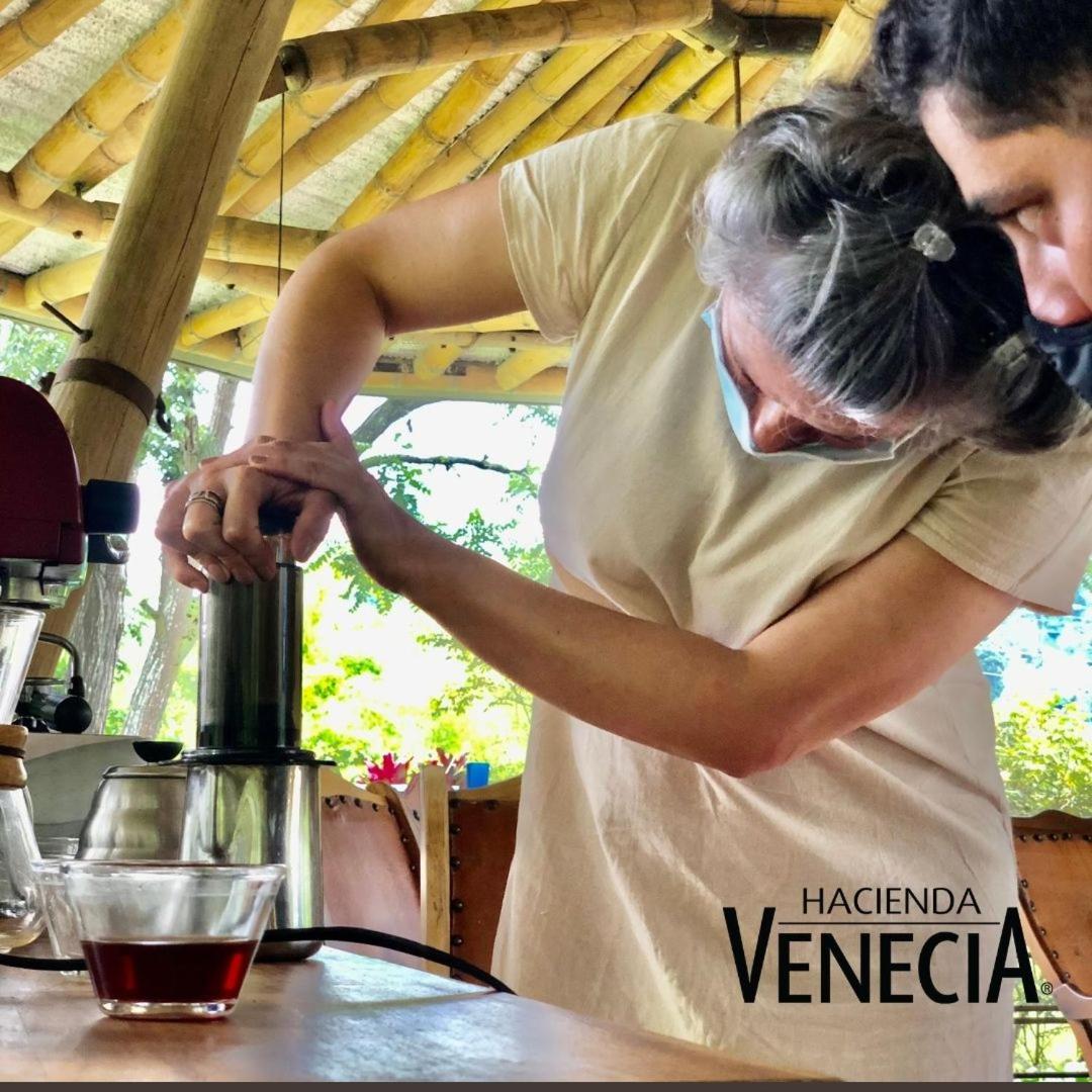 Hacienda Venecia Hostel