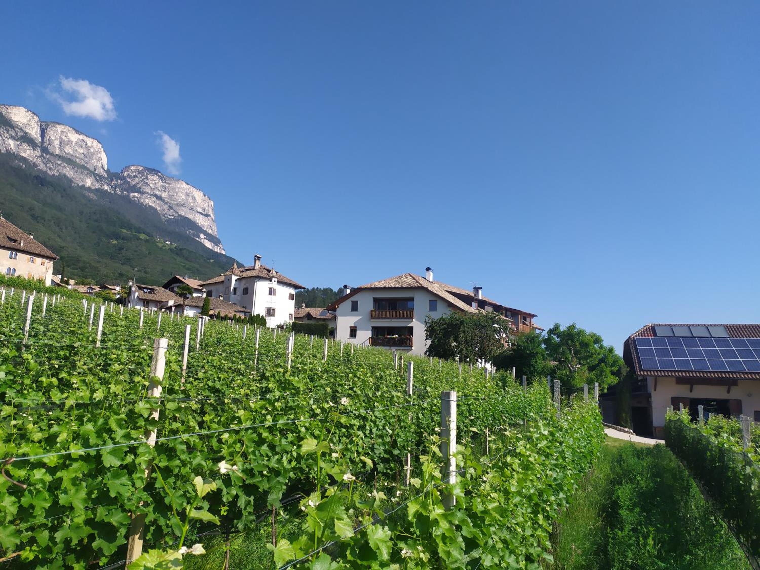 Hotel Weingut Lahn zu Eppan - Image 1