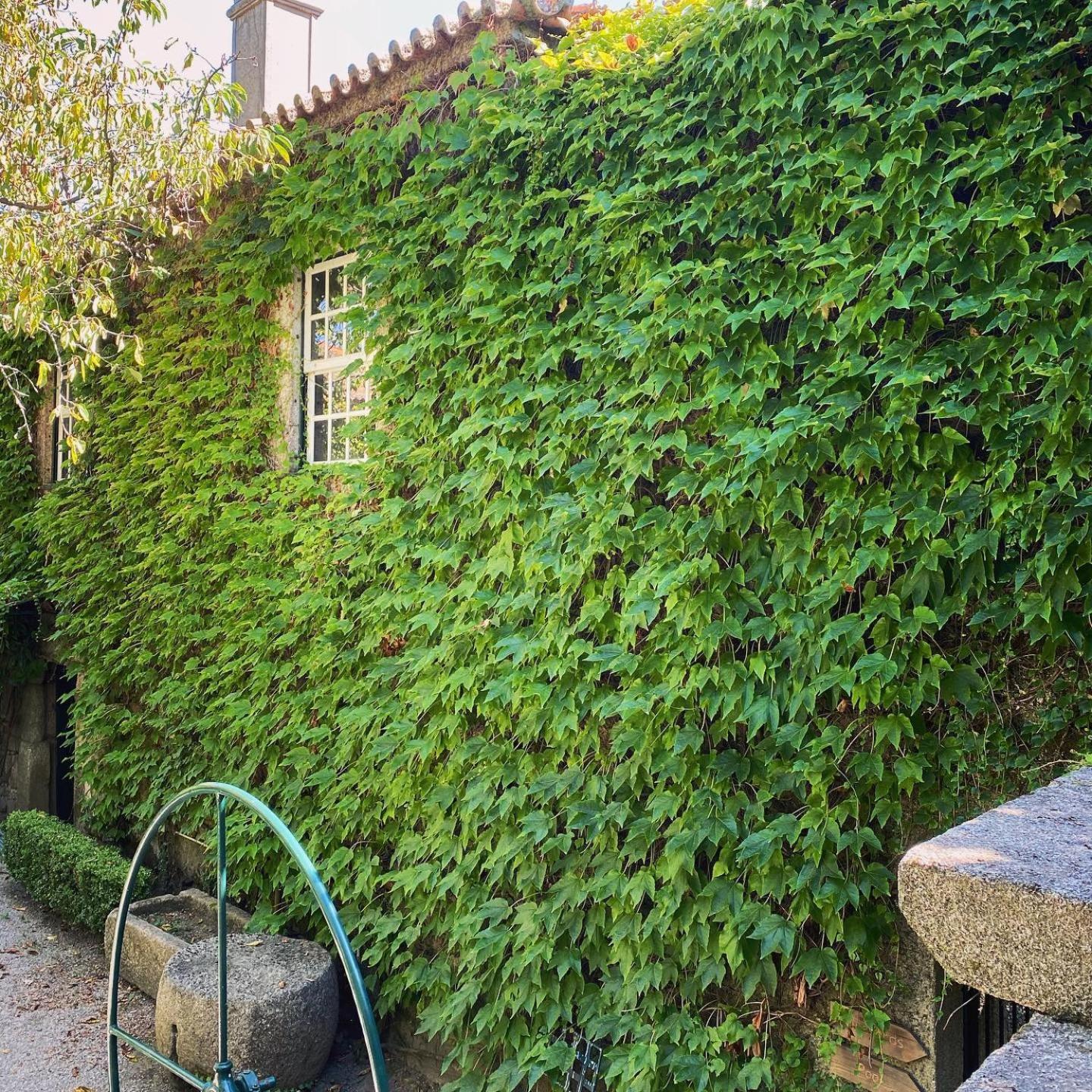 Casa dos Barros Winery Lodge by Vintage Theory view 4