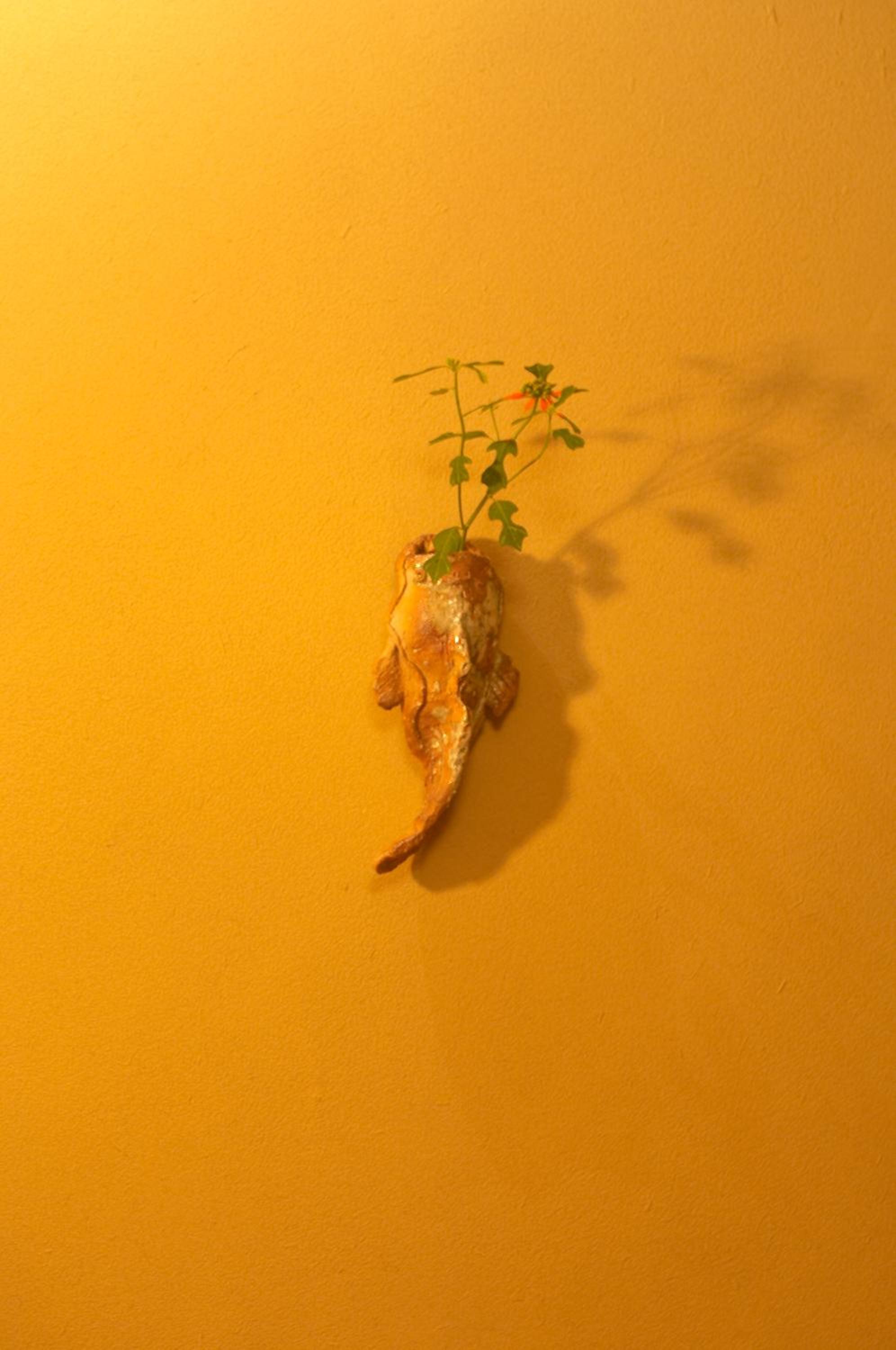 Sekitei