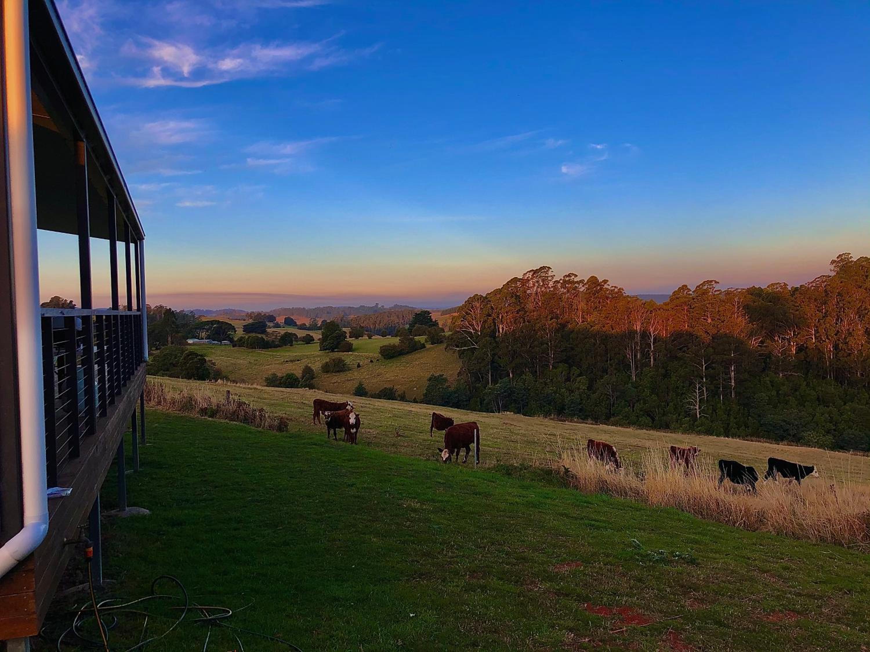 Manna Hill Farm