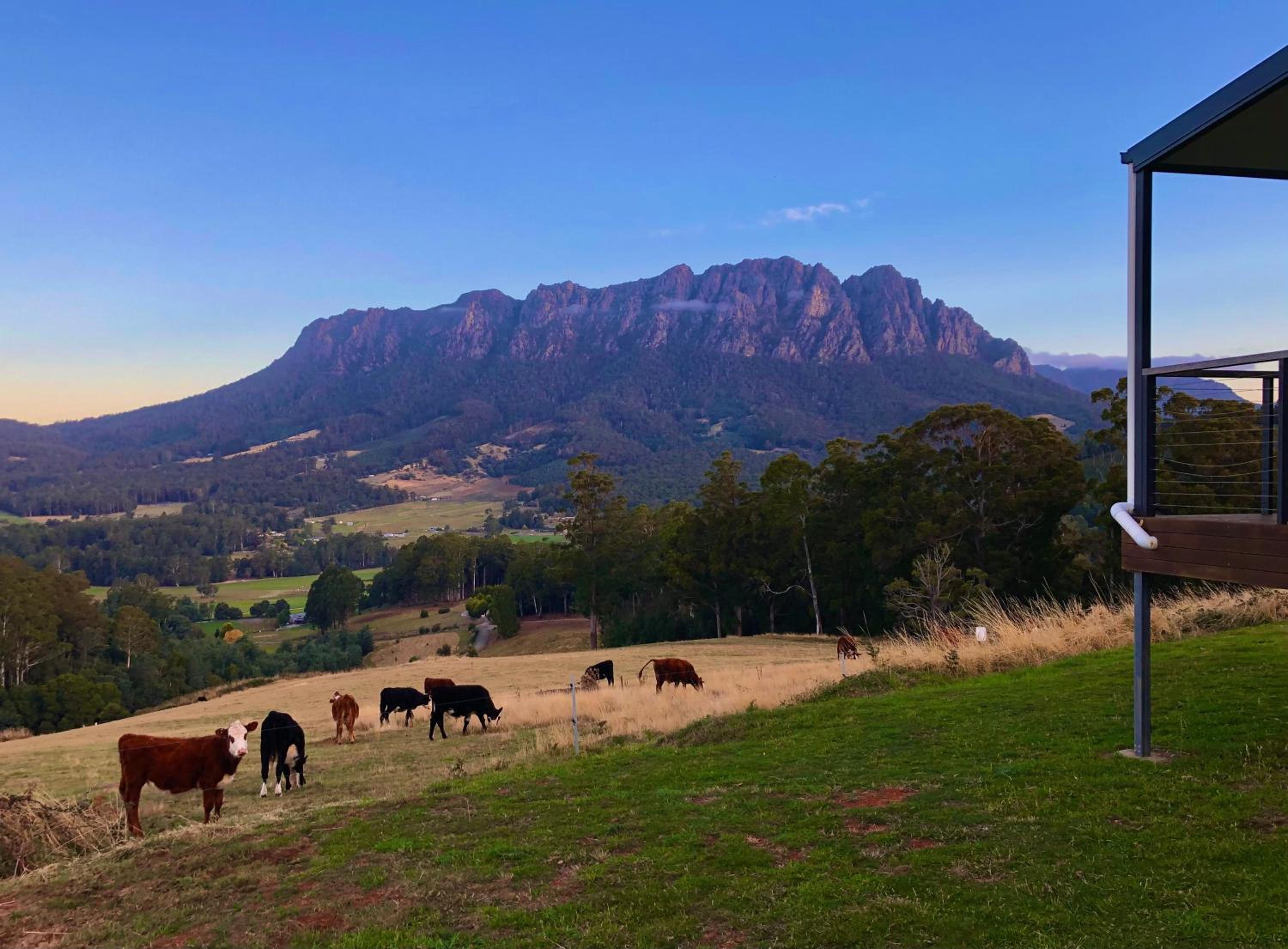 Manna Hill Farm