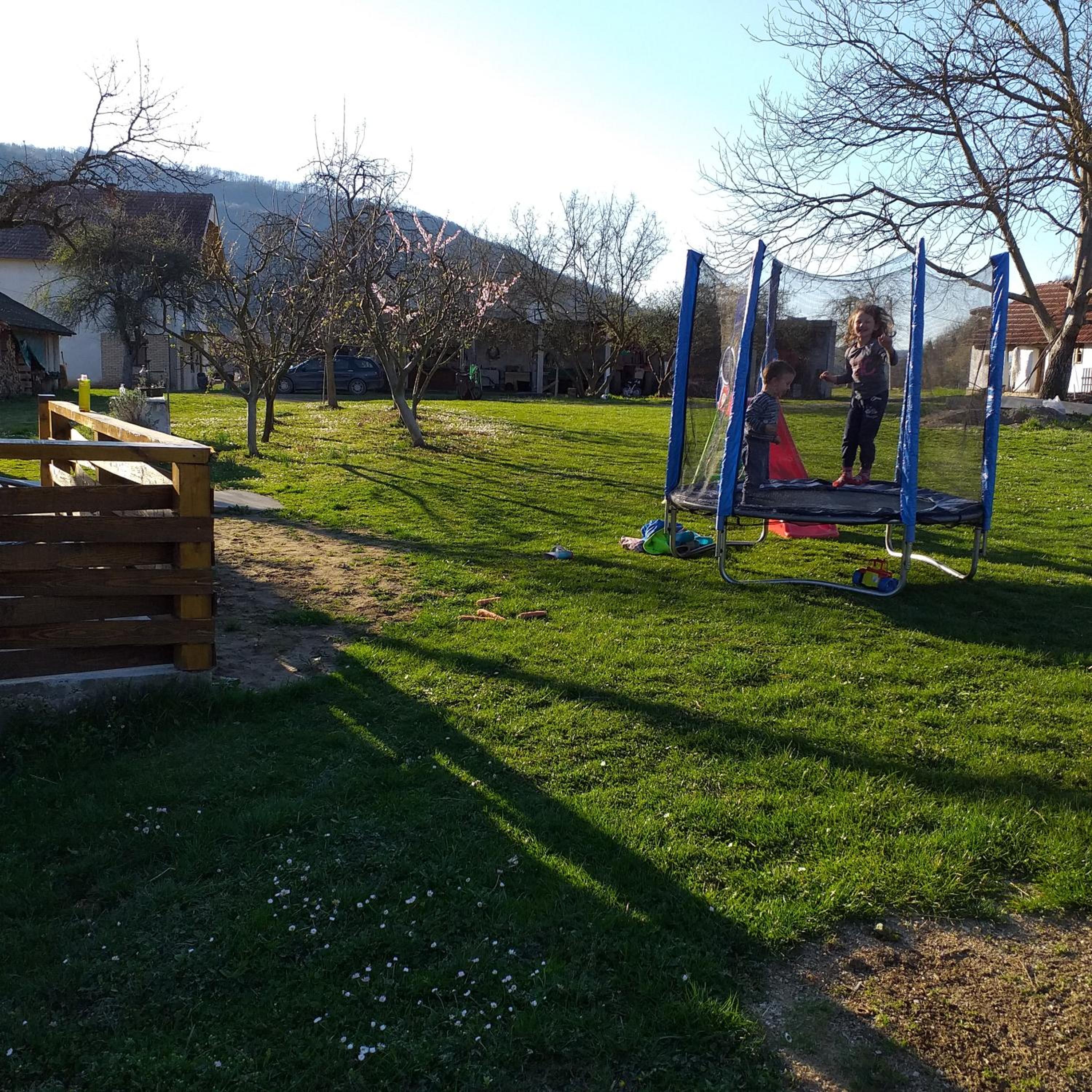 Photo 44