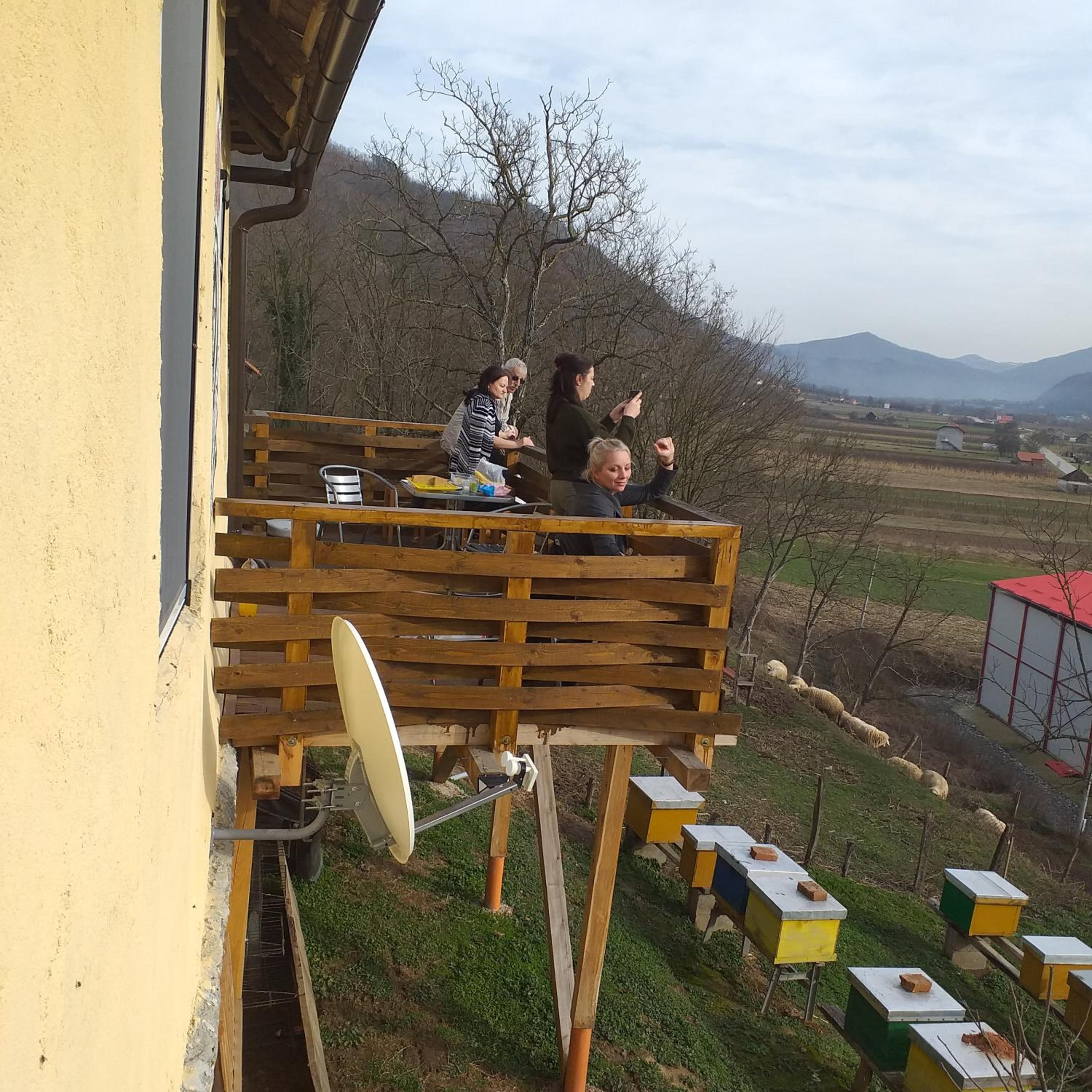 Photo 43