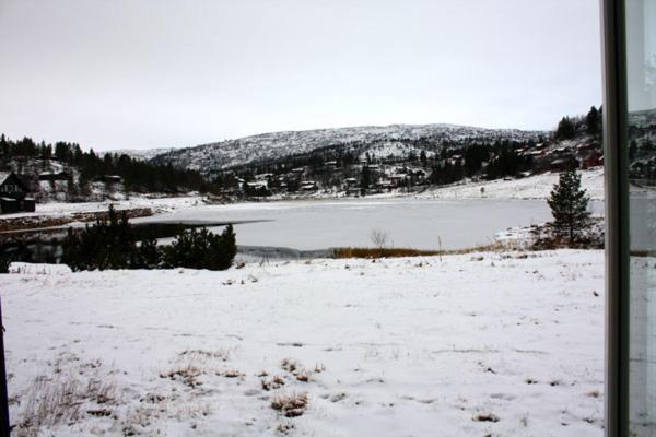 Photo 24
