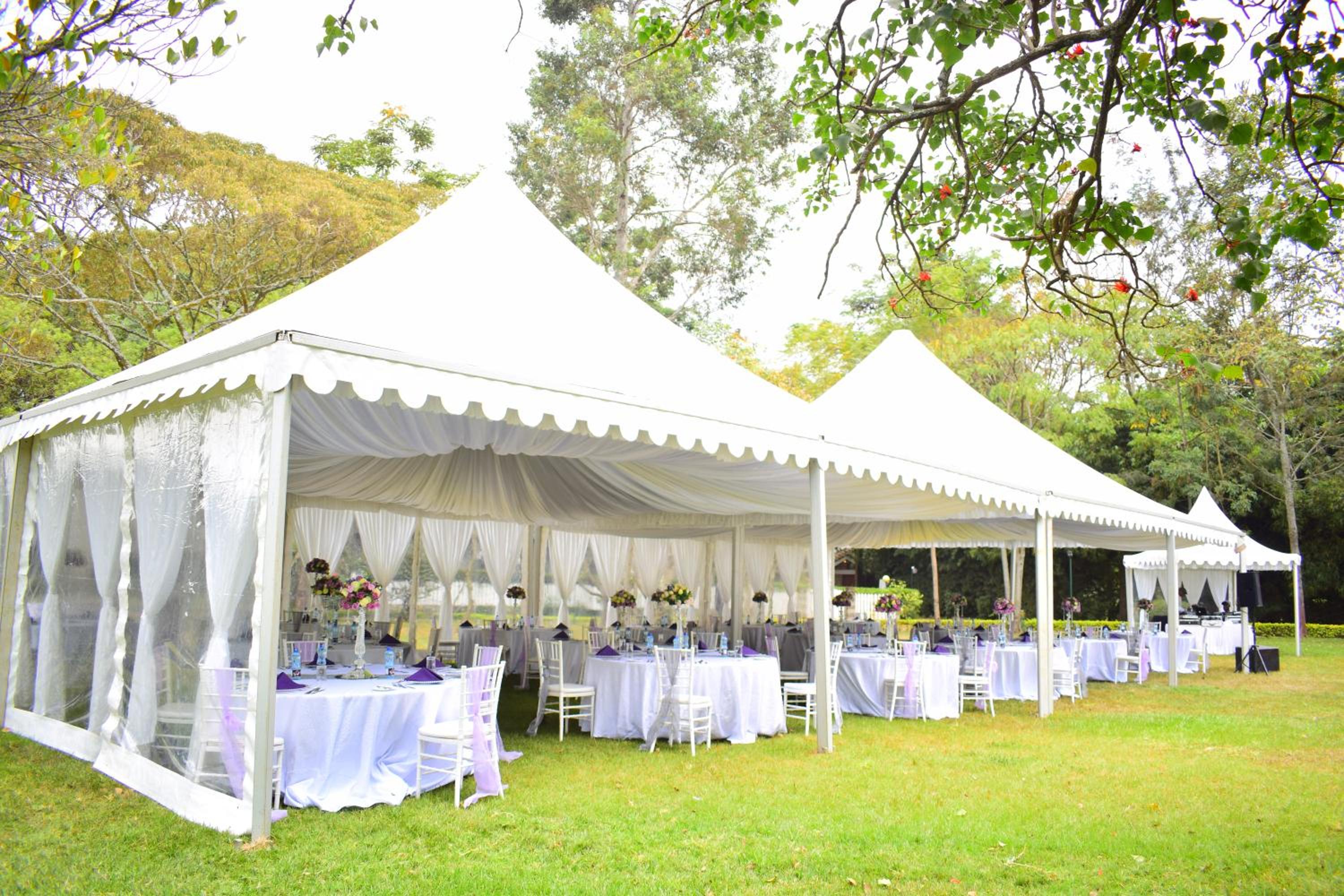 Safari Park Hotel photo 3