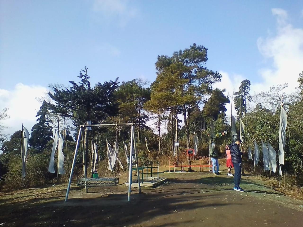 Photo 8