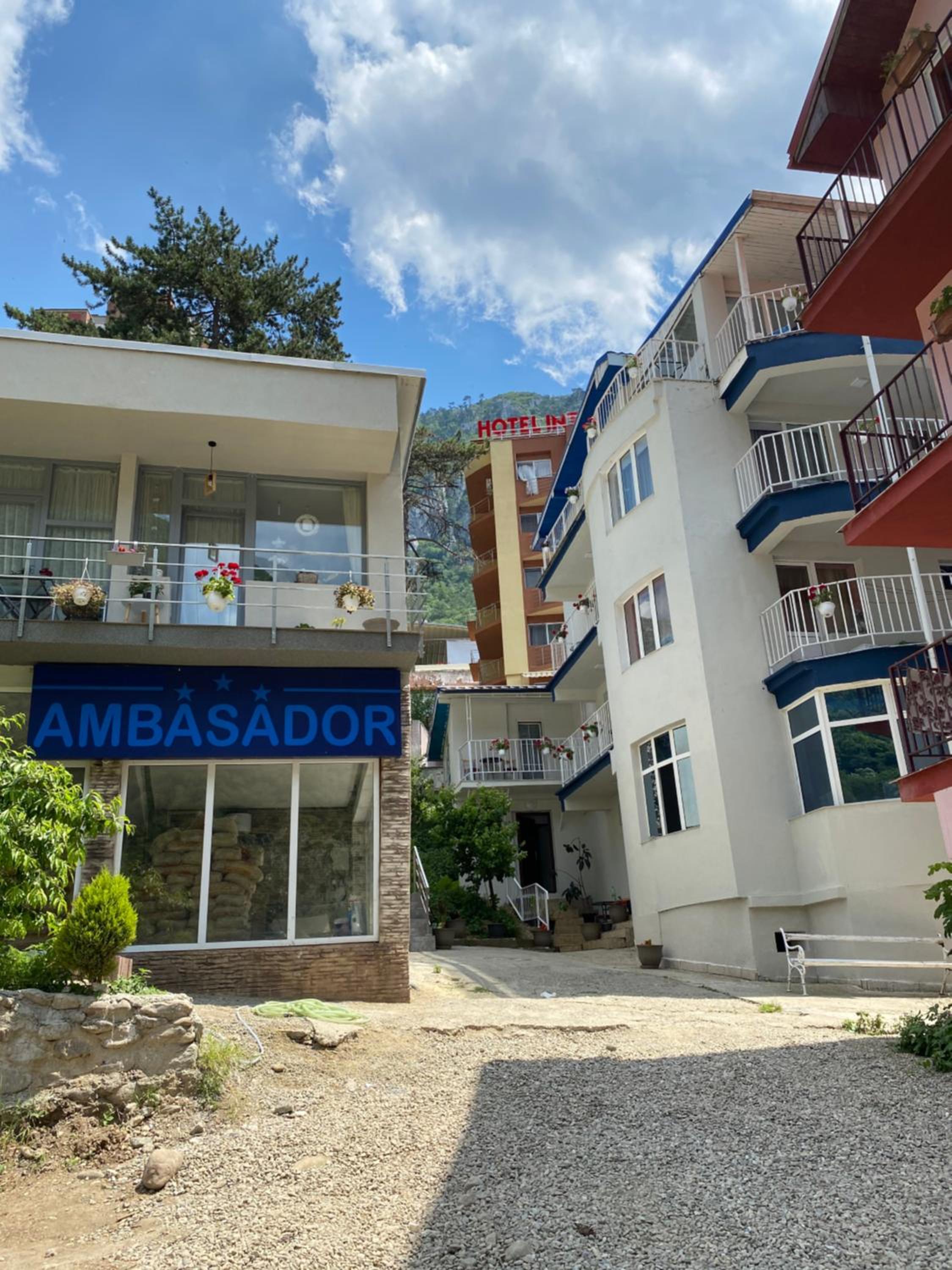 Pensiunea Ambasador view 2