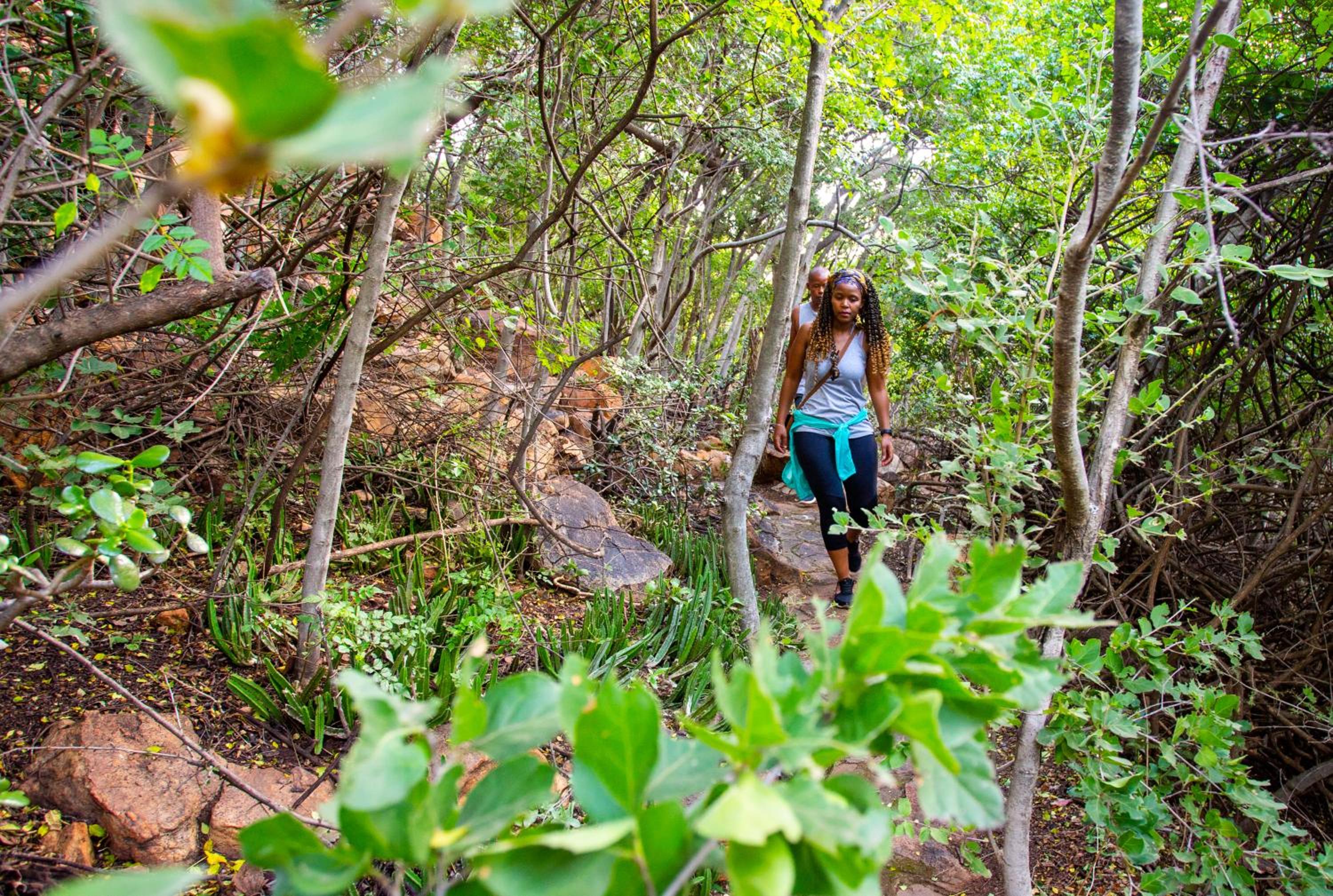 The Cliffside Boutique Getaway