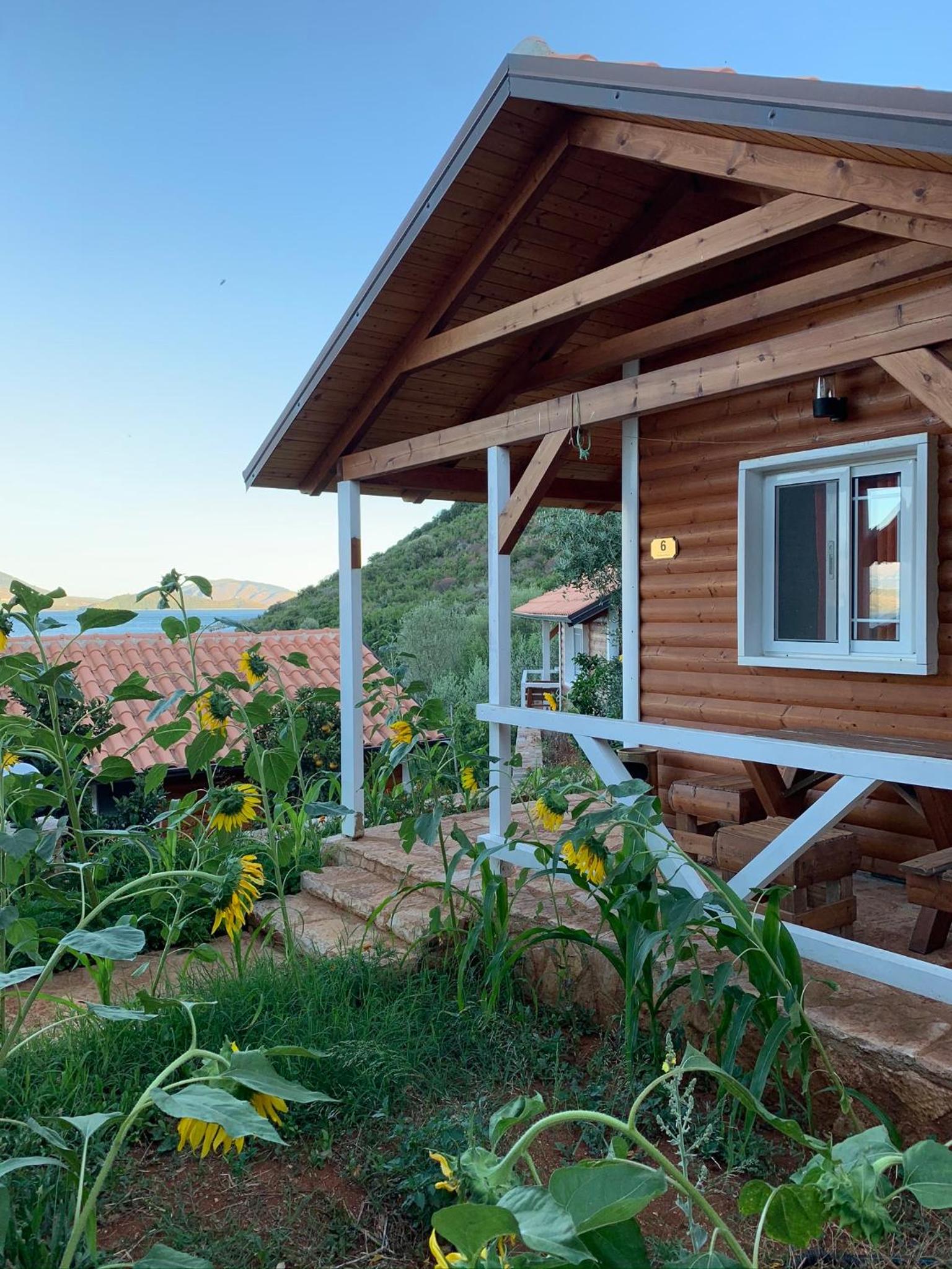 The Mussel House