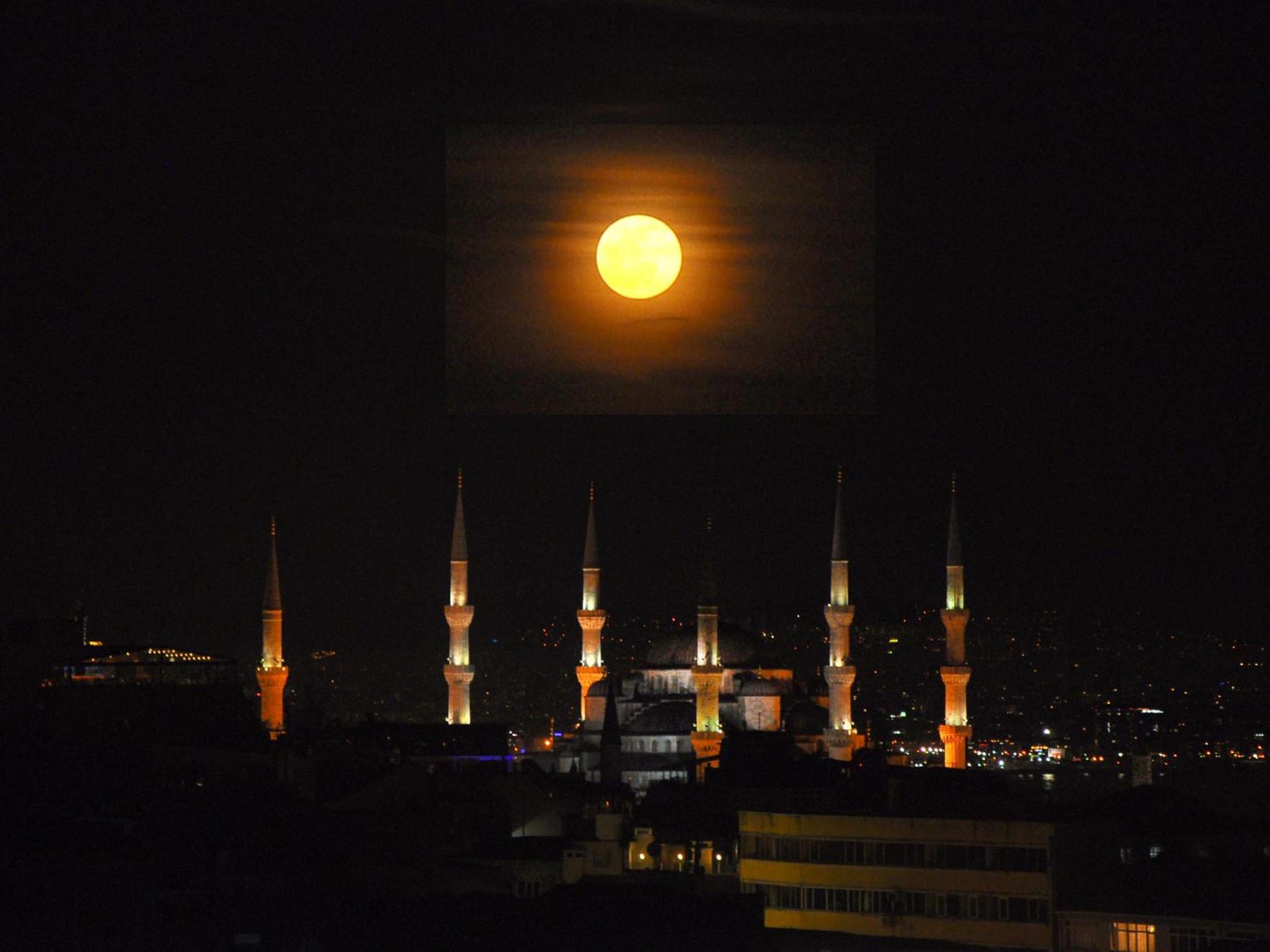 Divani Ali Otel - Image 10