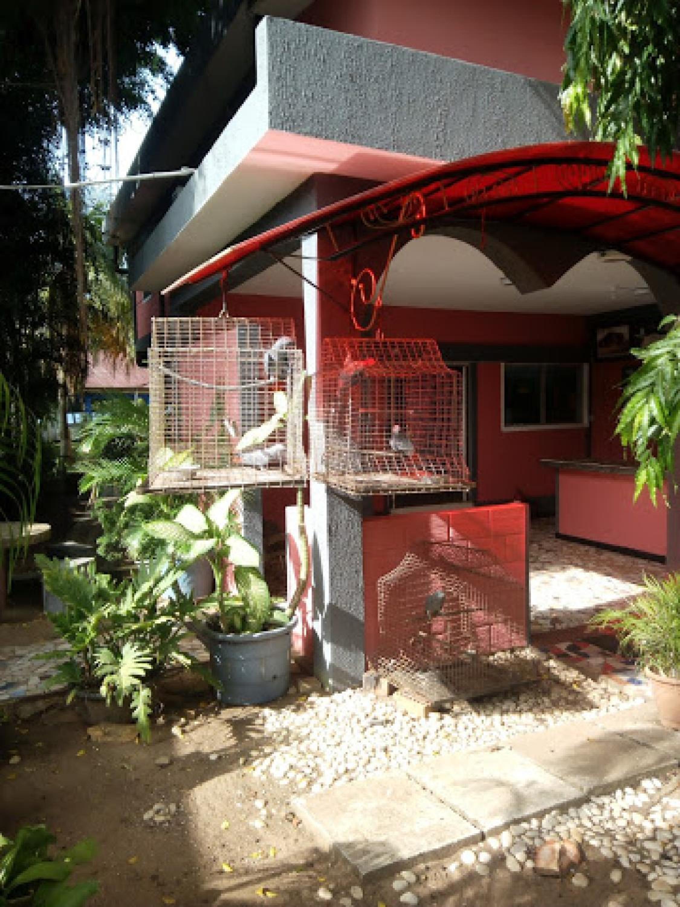 Photo 32
