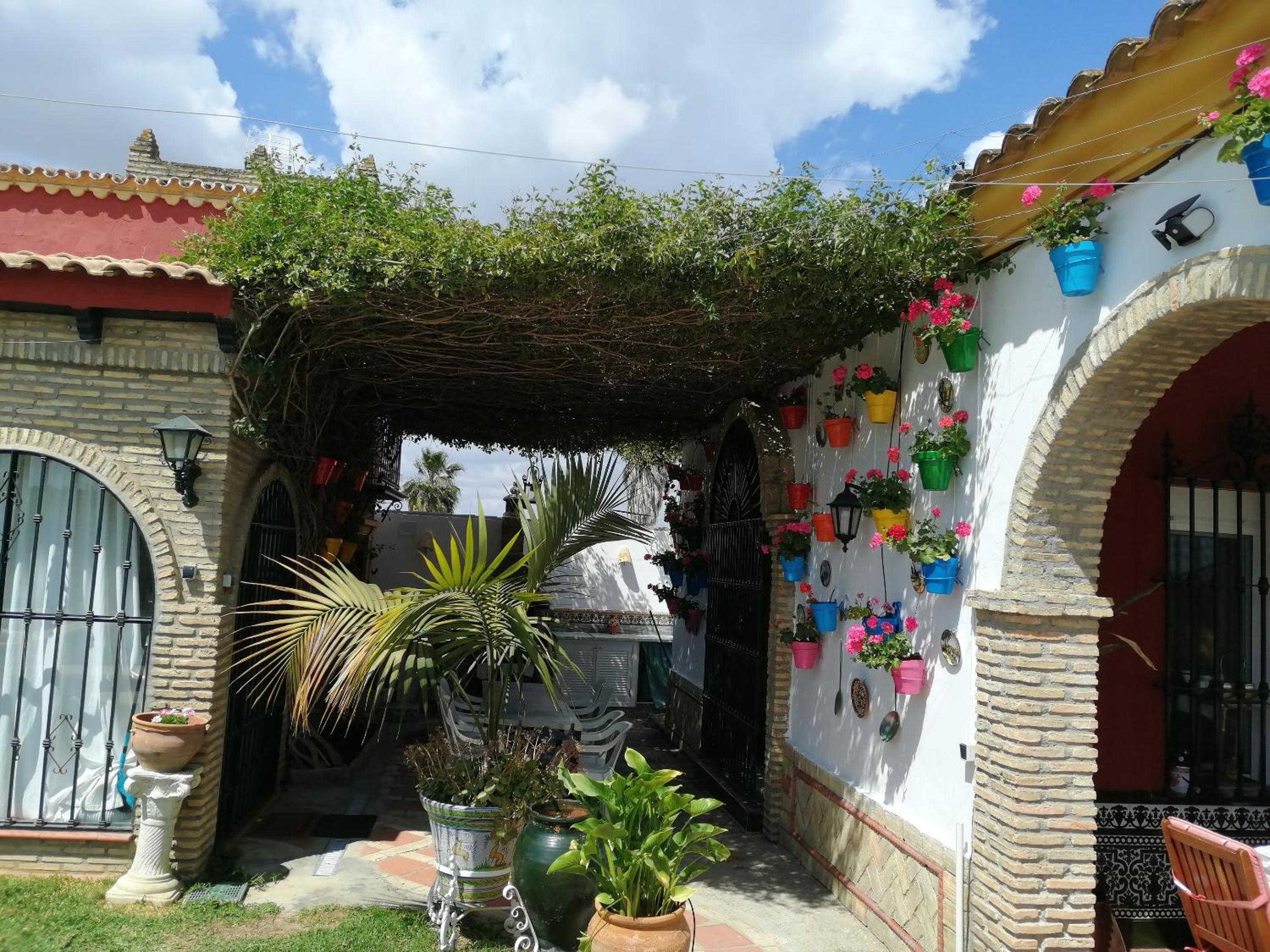Photo 41