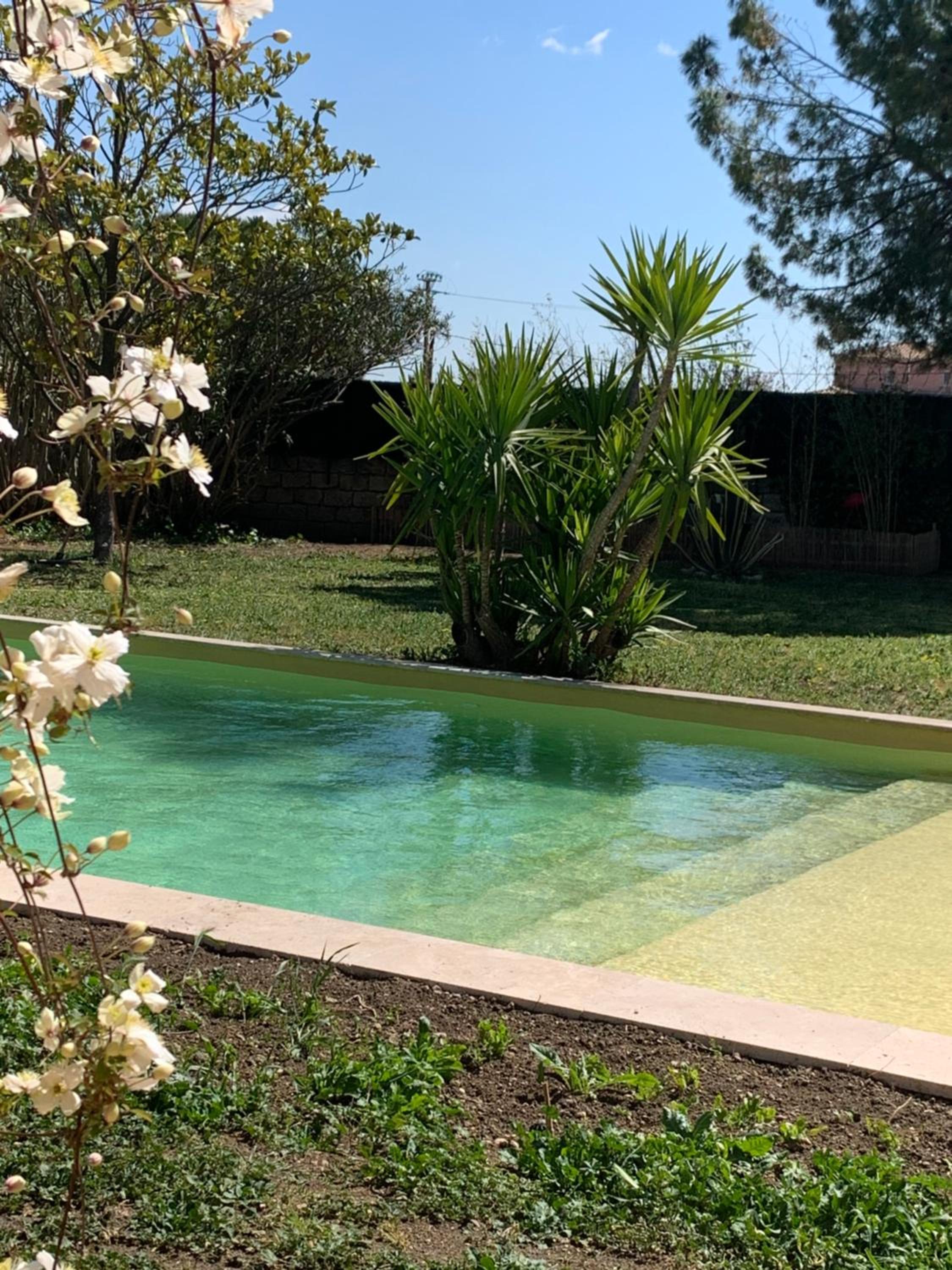 Le Patio, chambres d hôtes pour adultes en Camargue, possibilité de naturisme à la piscine,, photo 3