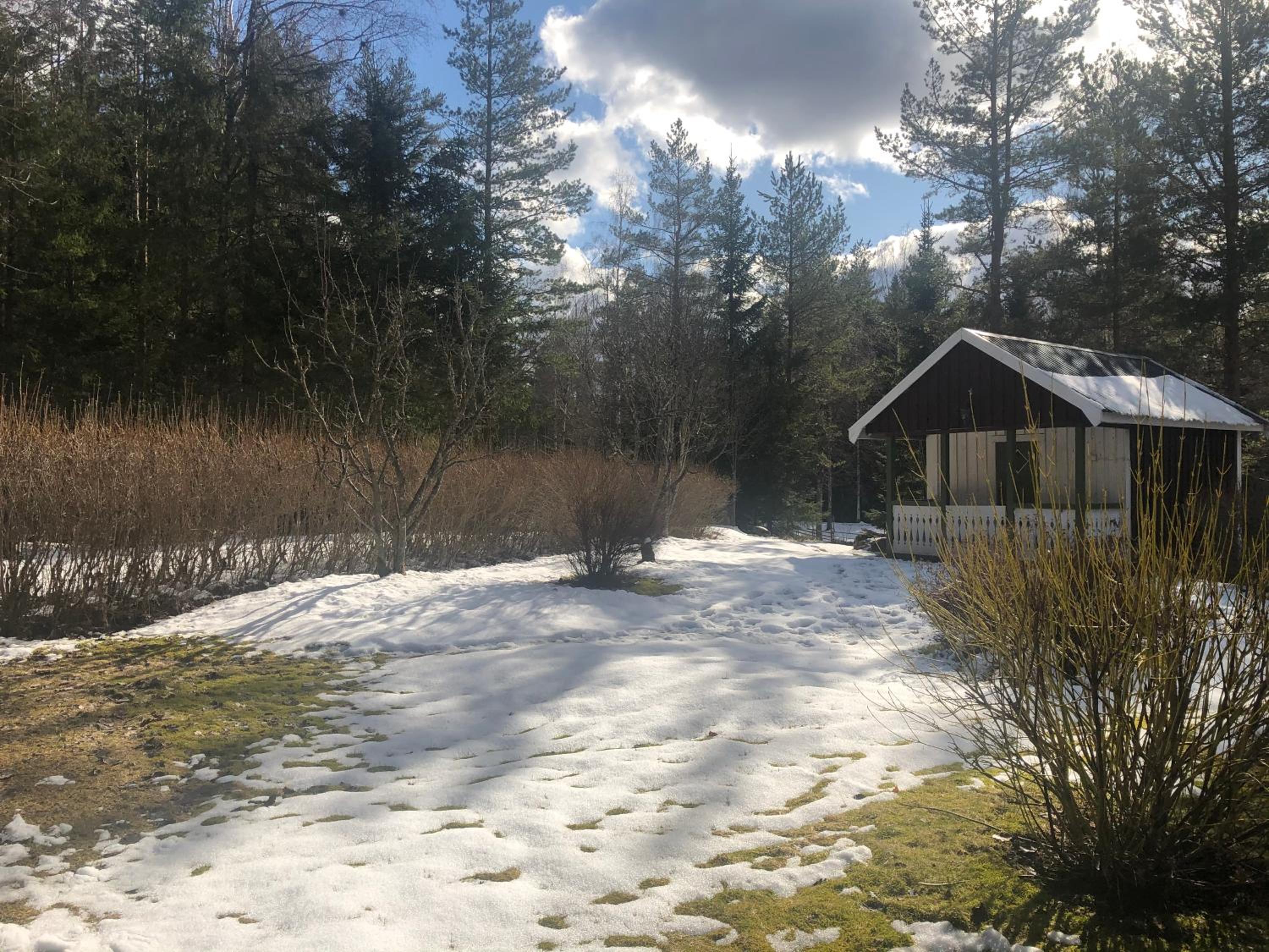 Paradiset stugan i fin skogen