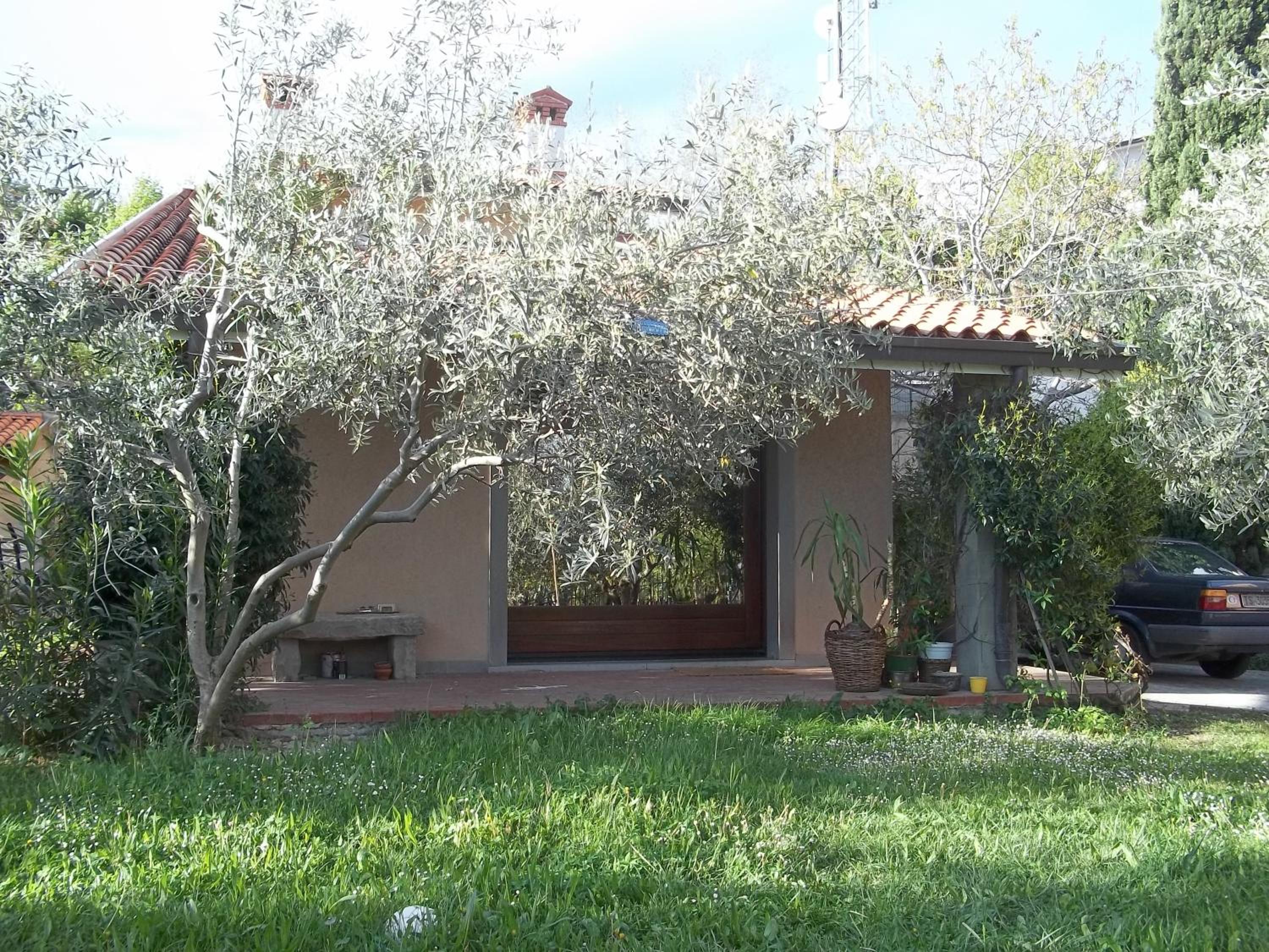 Photo 26