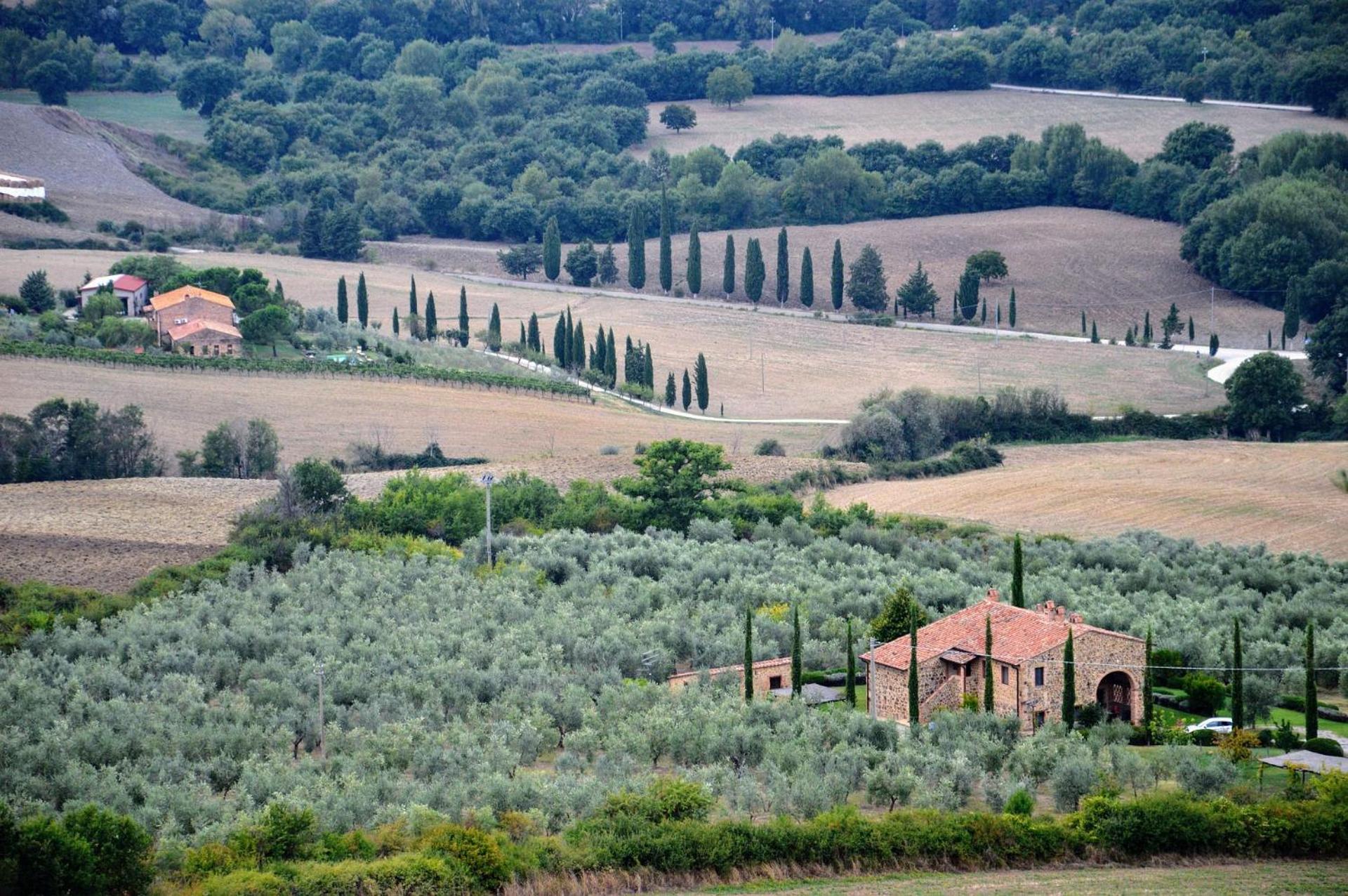 Il Girasole Terzuolo
