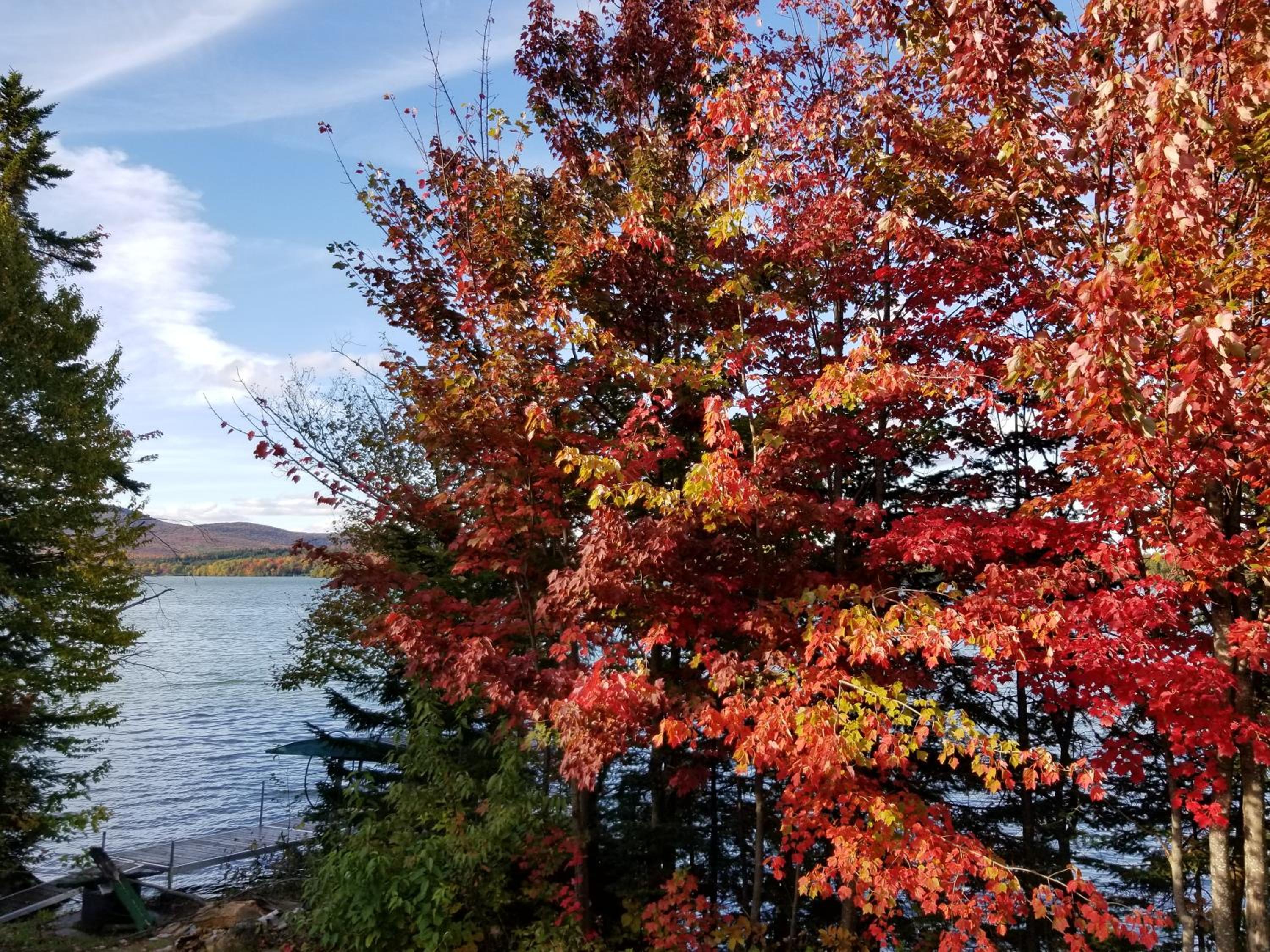 La Parade du Huard - Lac et Spa