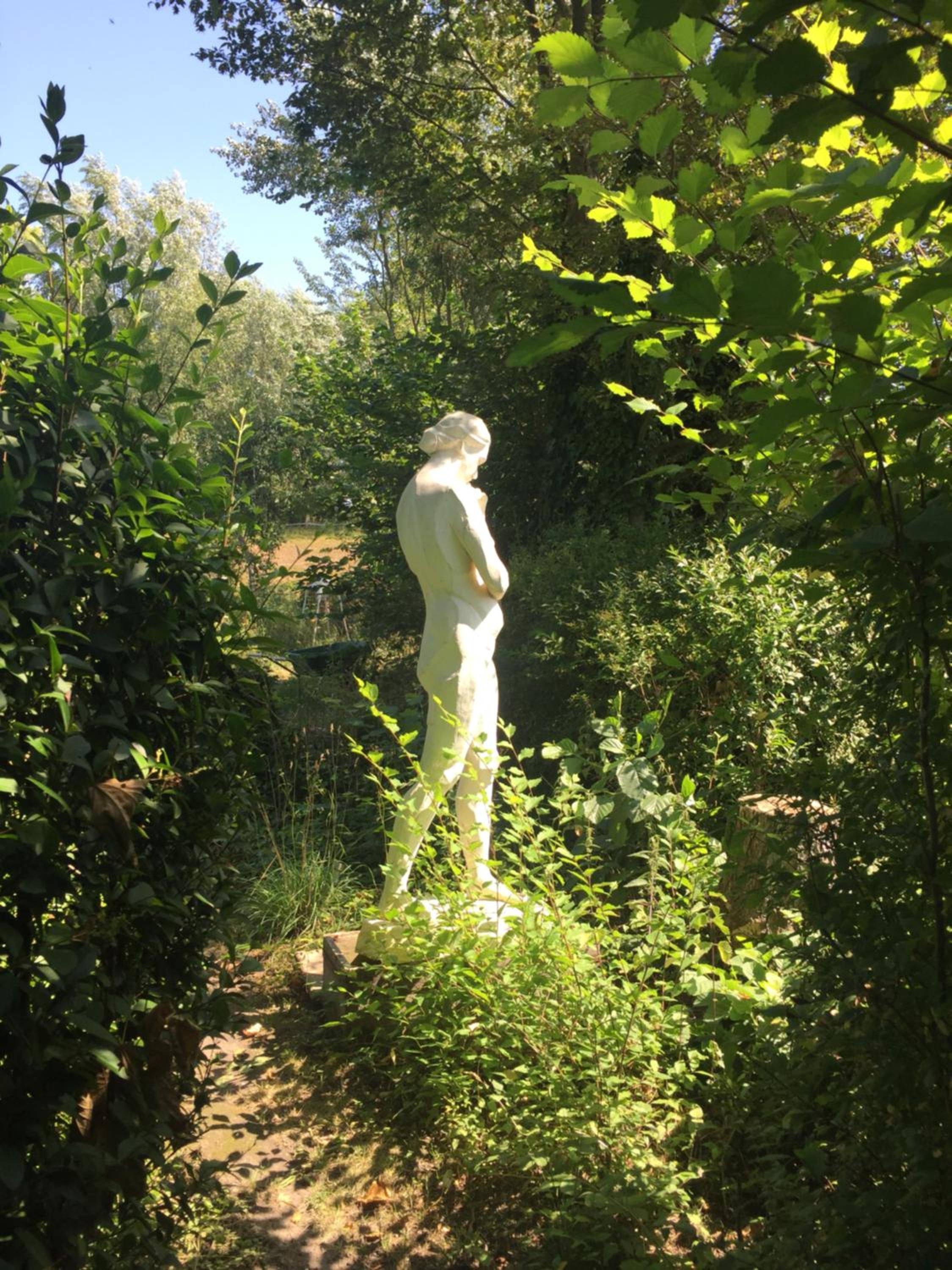 Photo 6