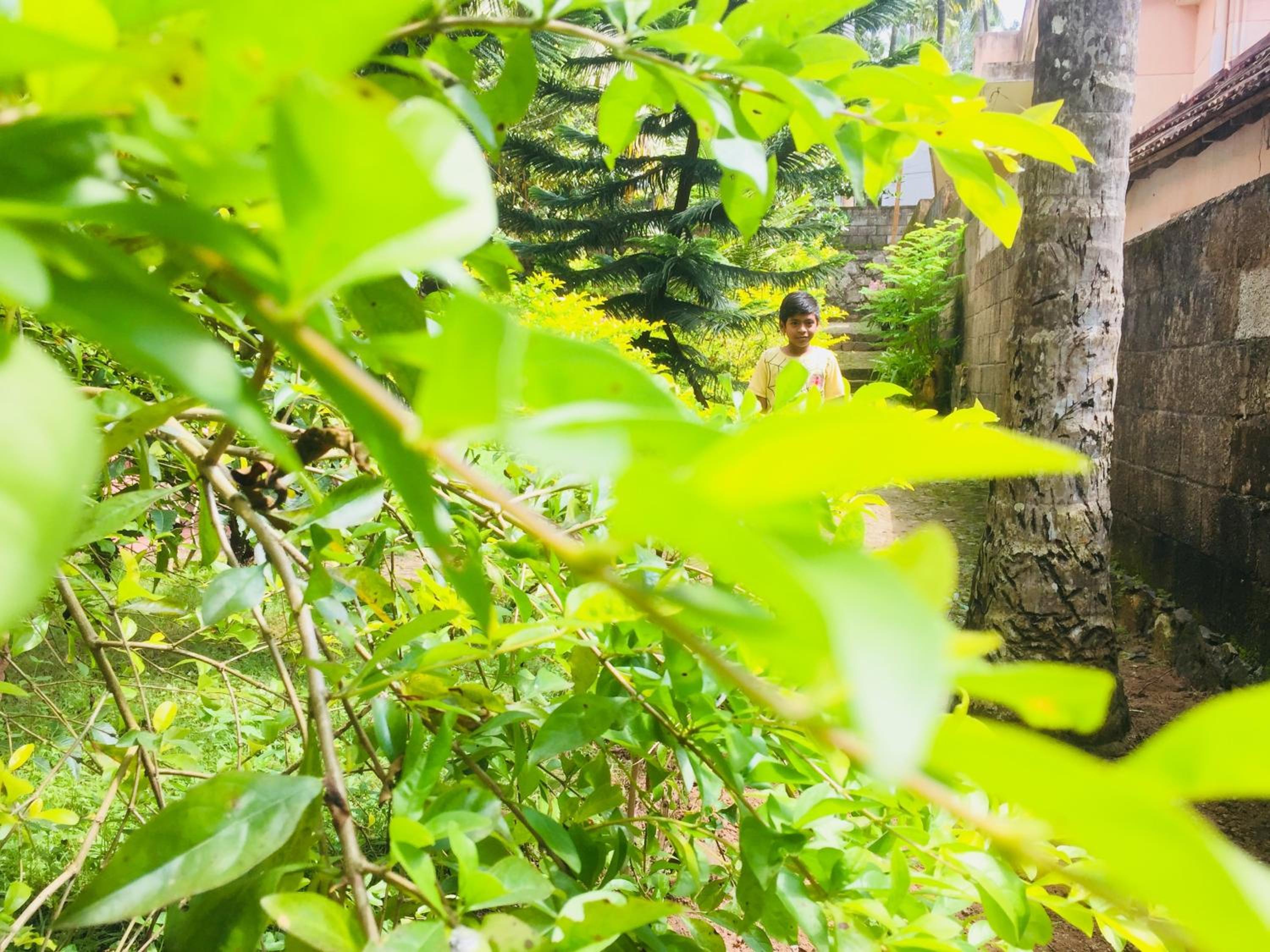 Ganesh House Homestay
