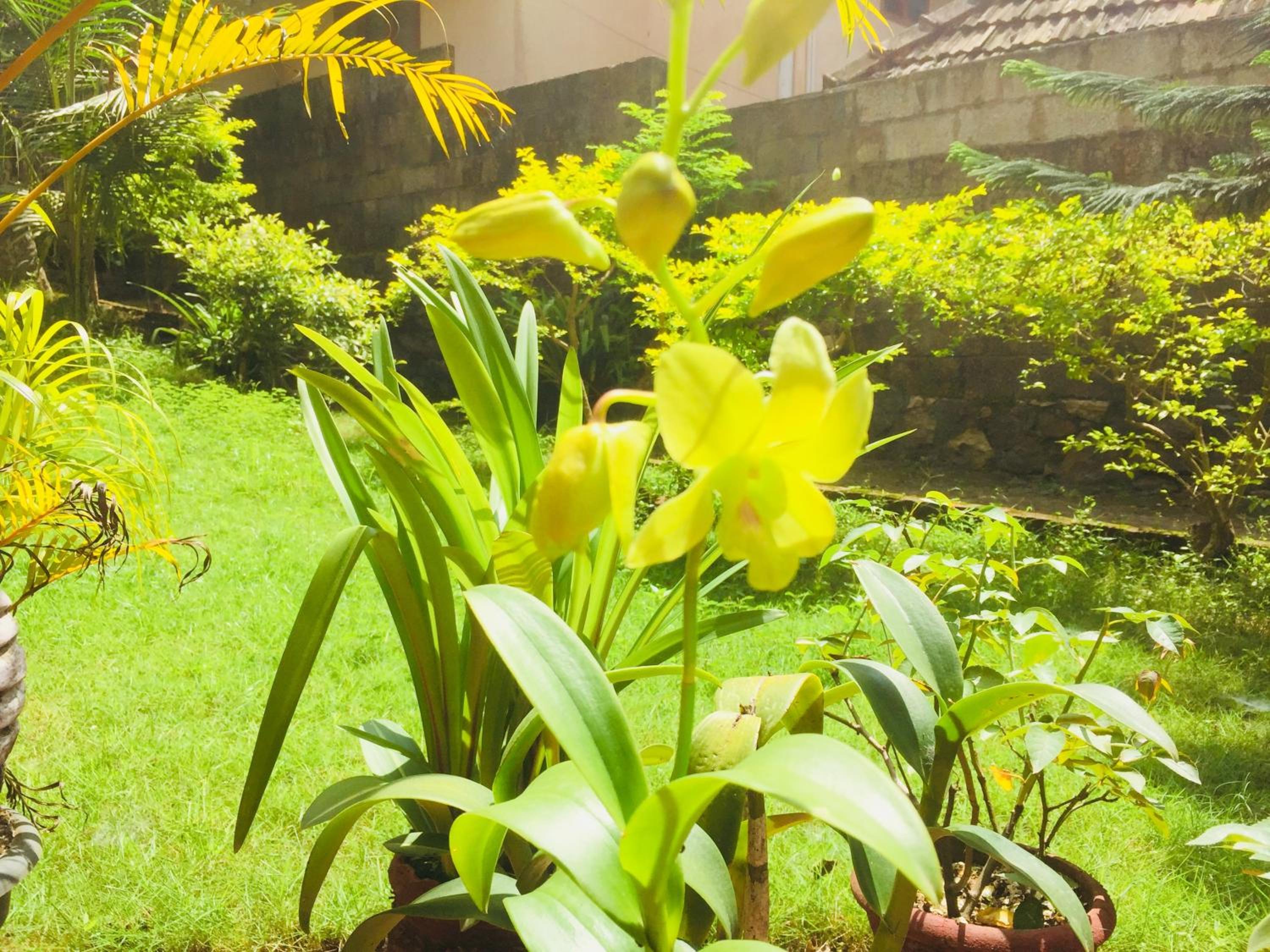Ganesh House Homestay