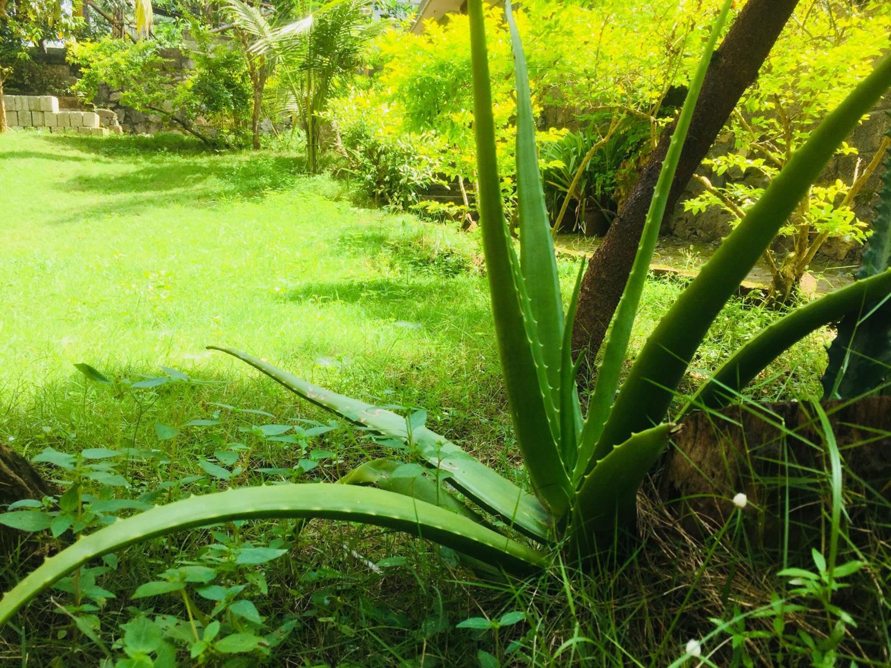 Ganesh House Homestay