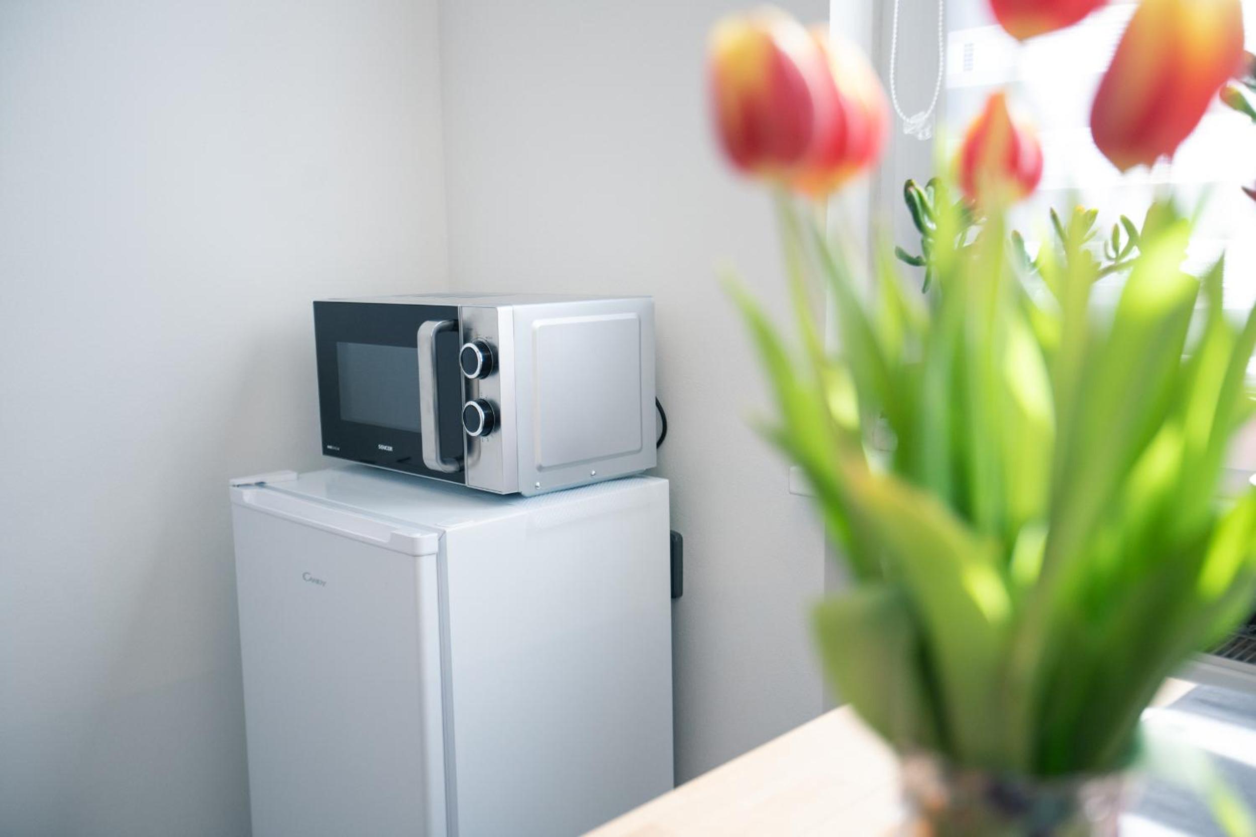Ubytování na samotě - Apartmán U Tesařů