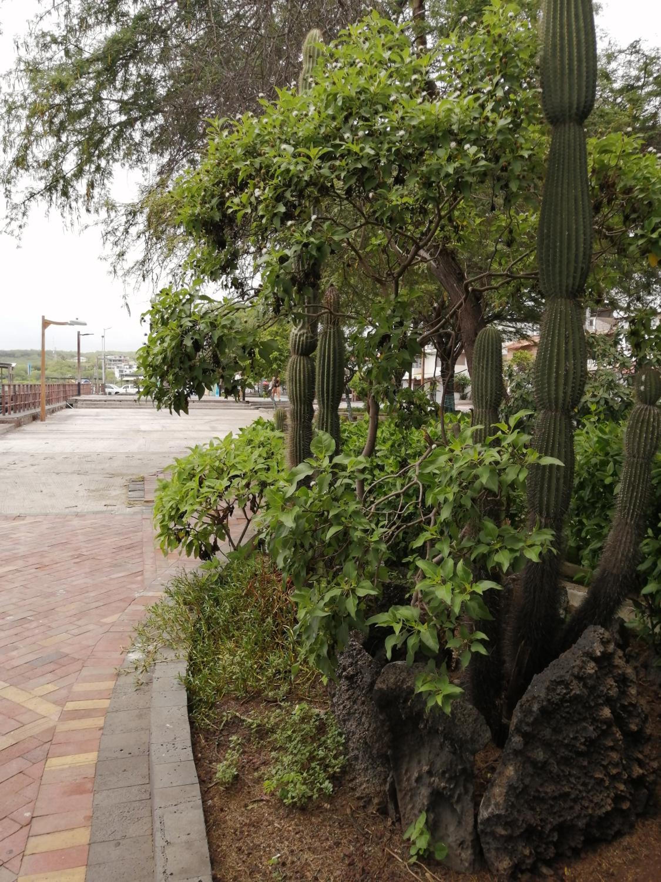 Photo 19