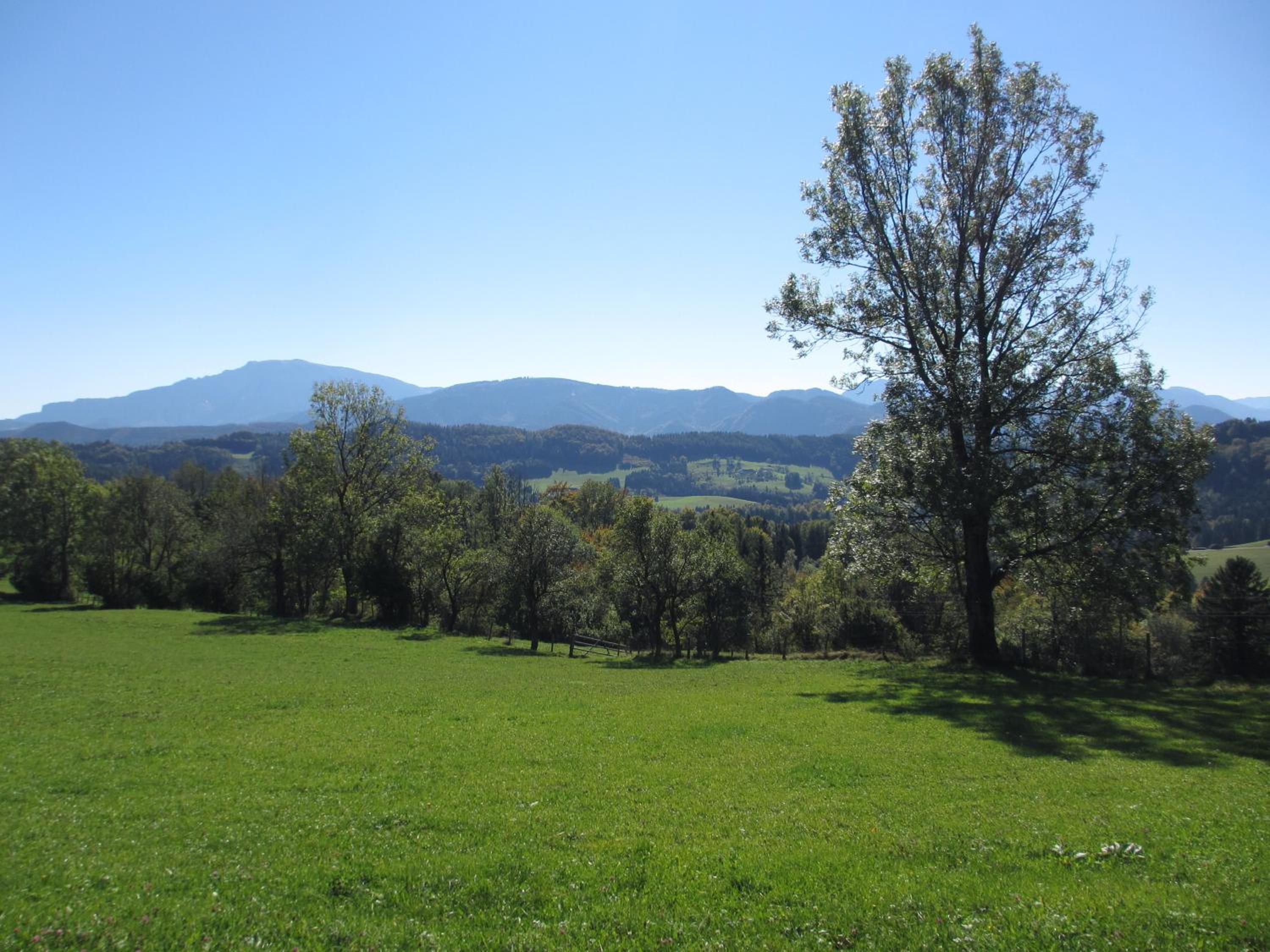 Hirmhof