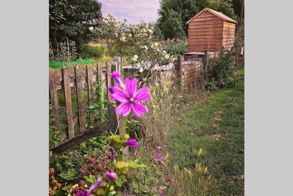 Photo 18