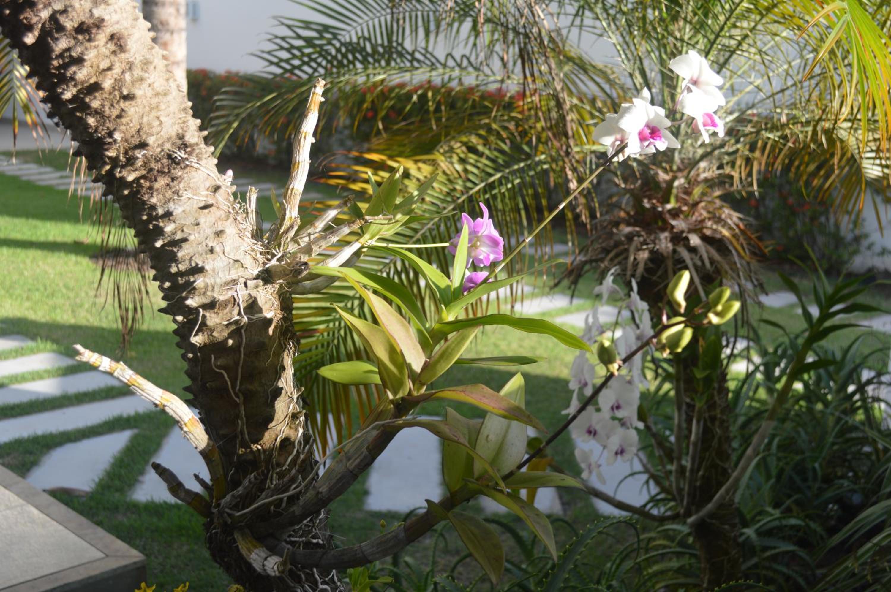 Guarajuba, 5 suites e piscina