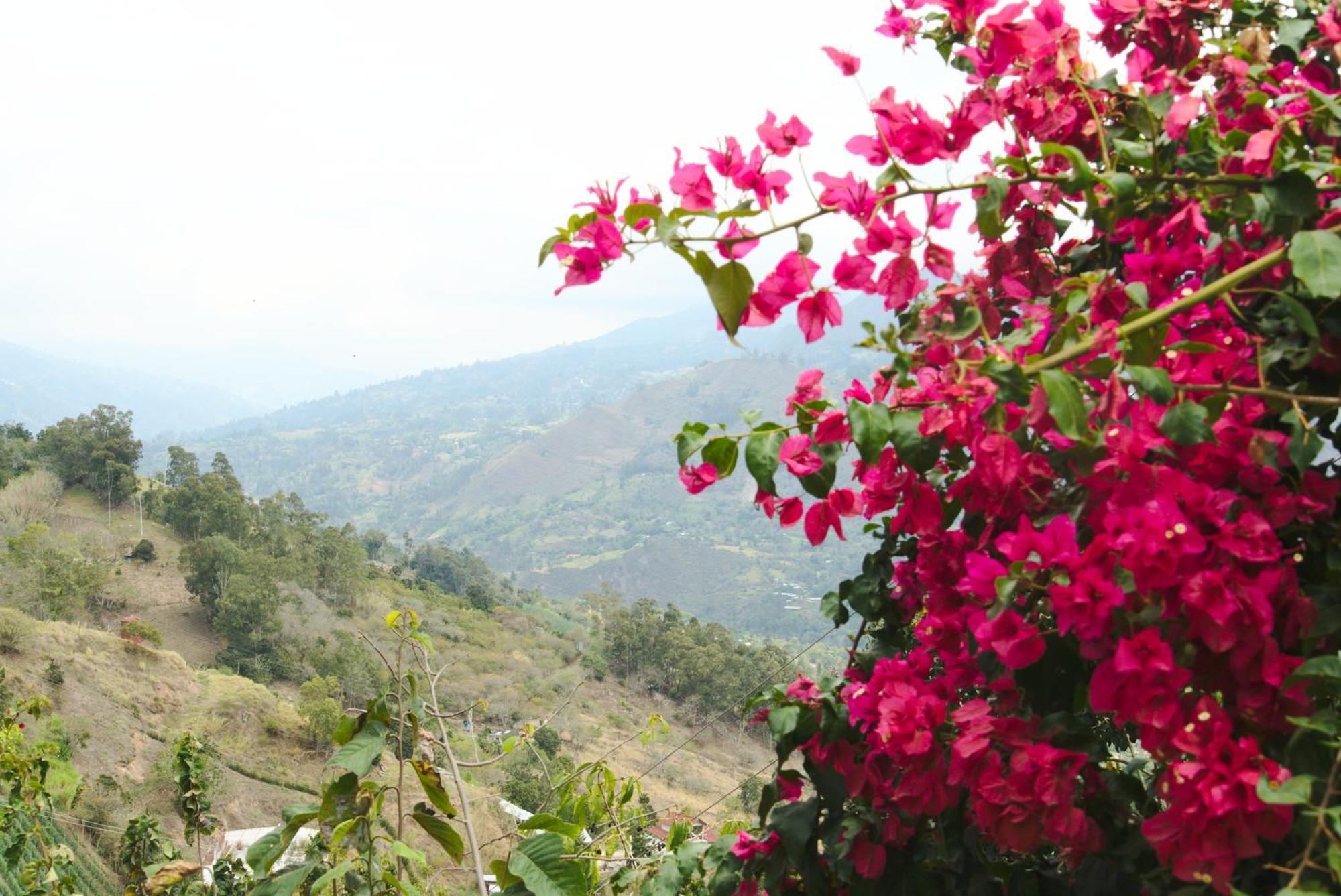 Finca Umnisa - Choachi