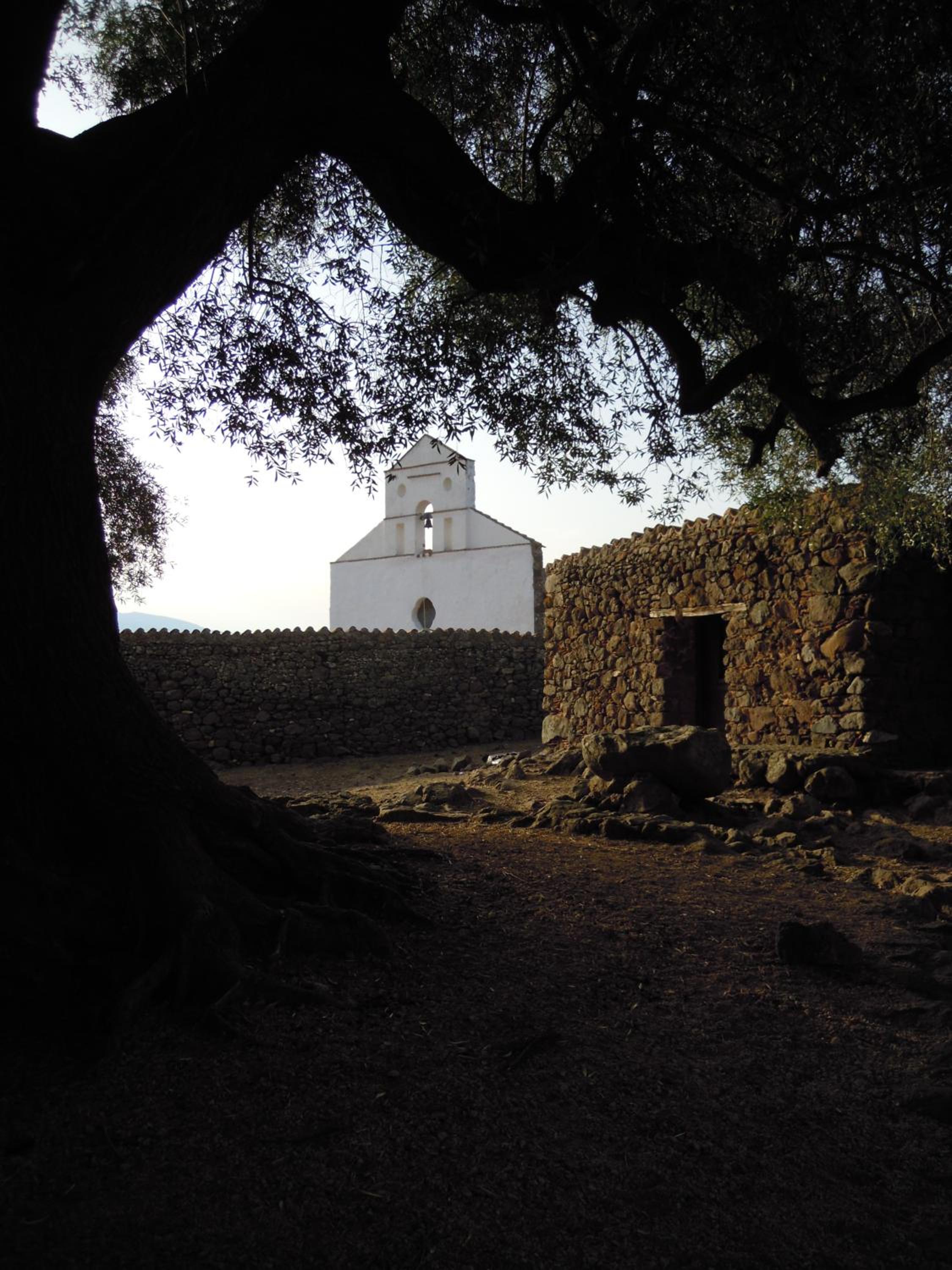 Photo 49