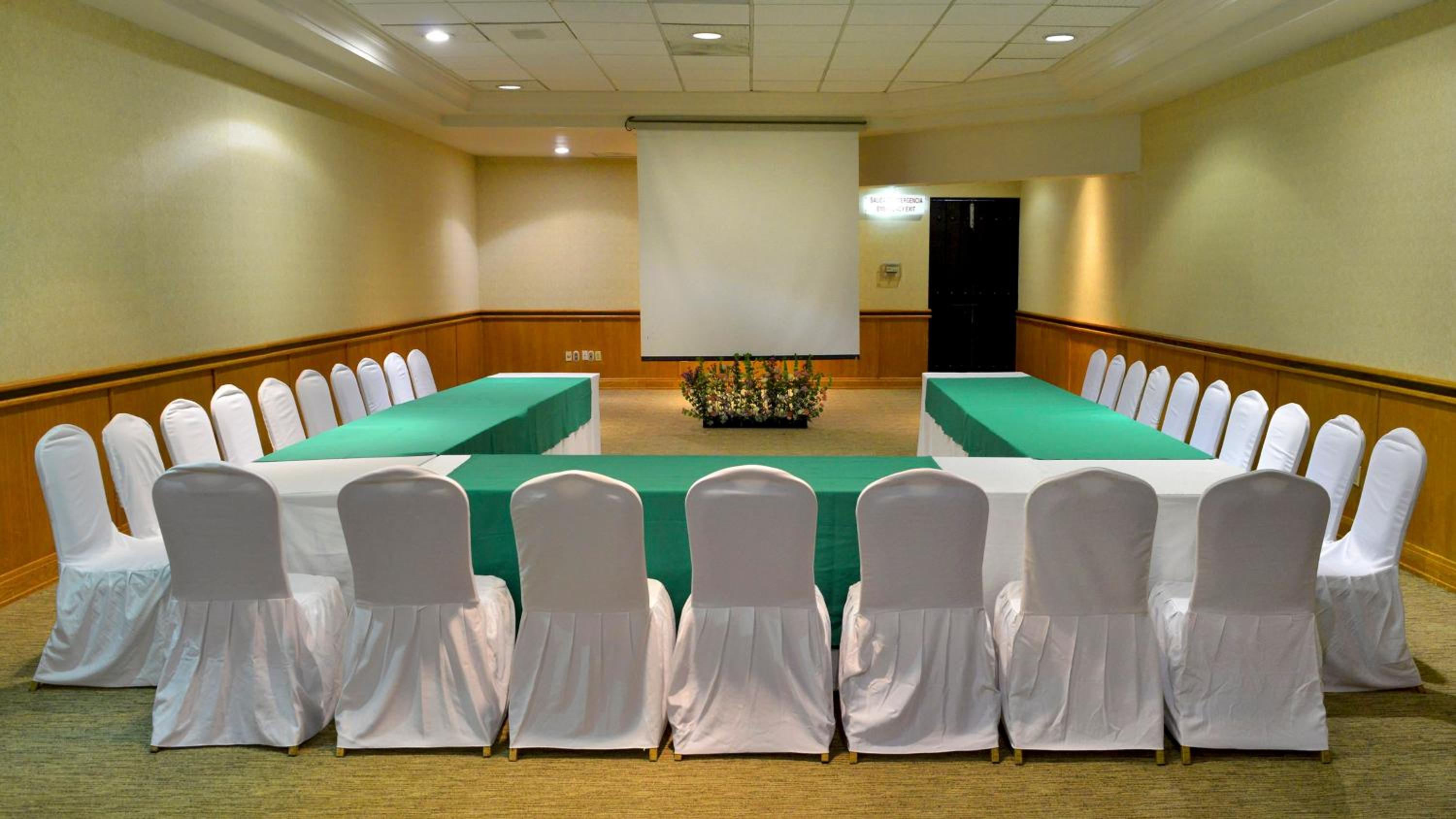 Holiday Inn Morelia, an IHG Hotel - Property Image 22