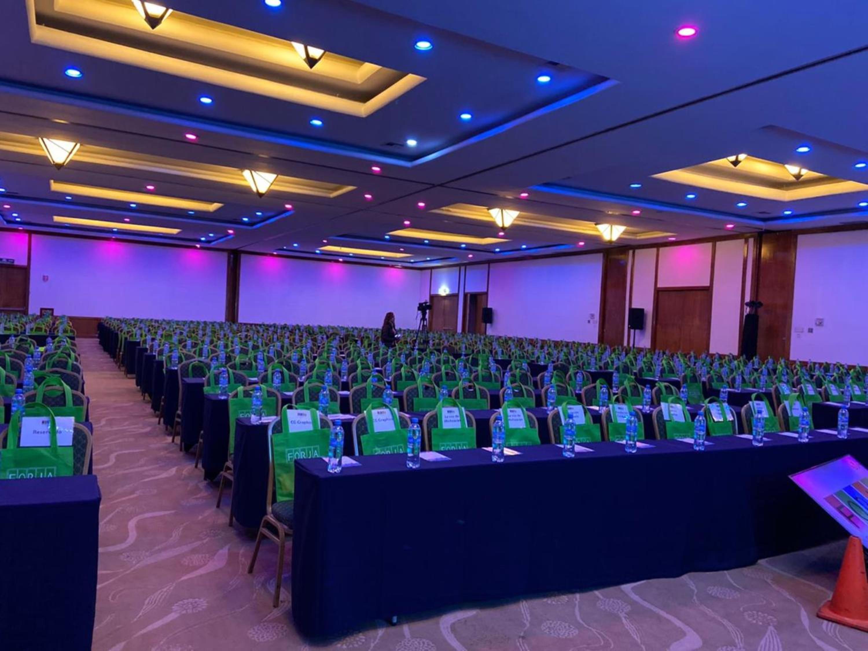 Holiday Inn Morelia, an IHG Hotel - Property Image 25