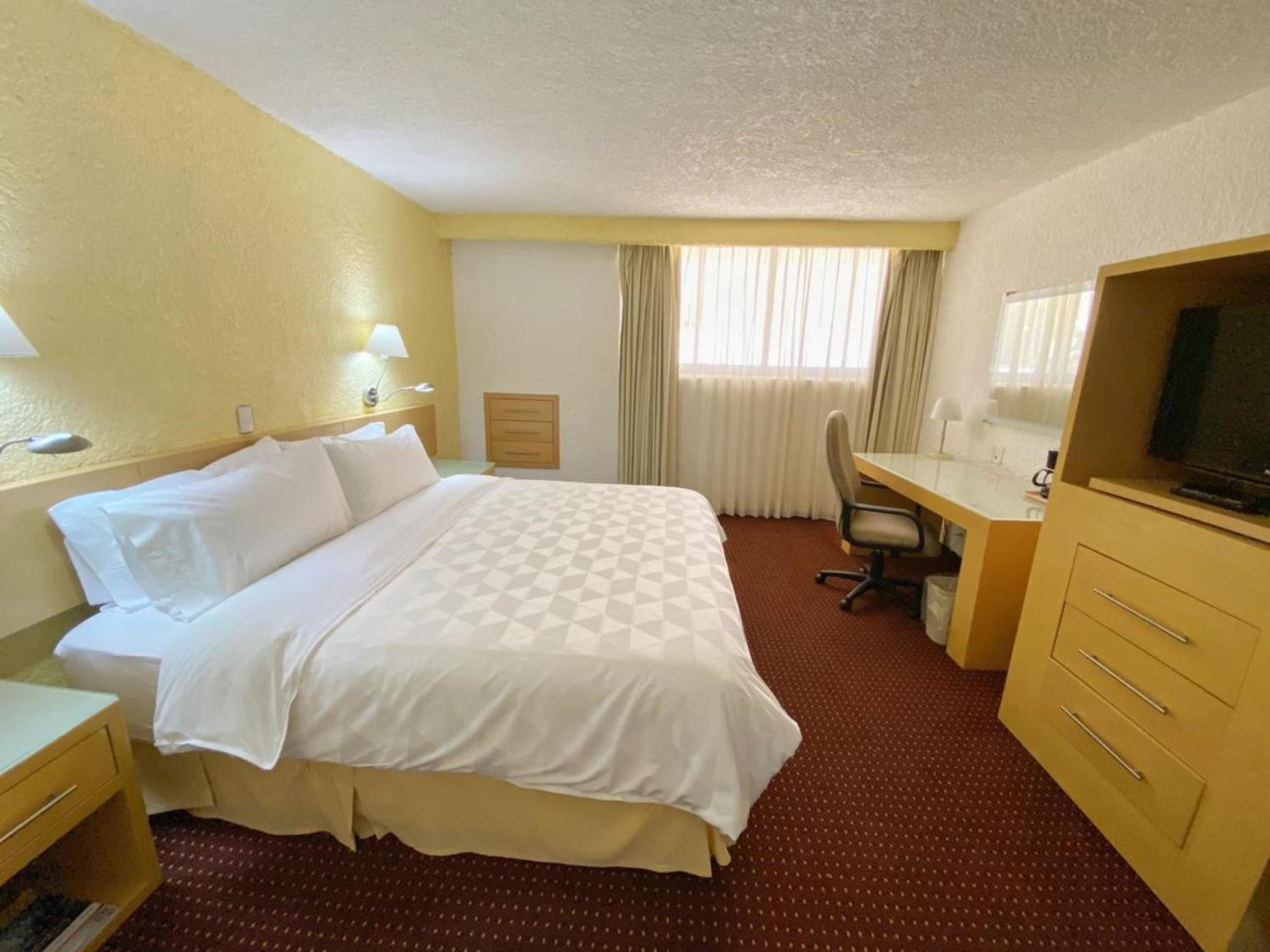 Holiday Inn Morelia, an IHG Hotel - Property Image 32