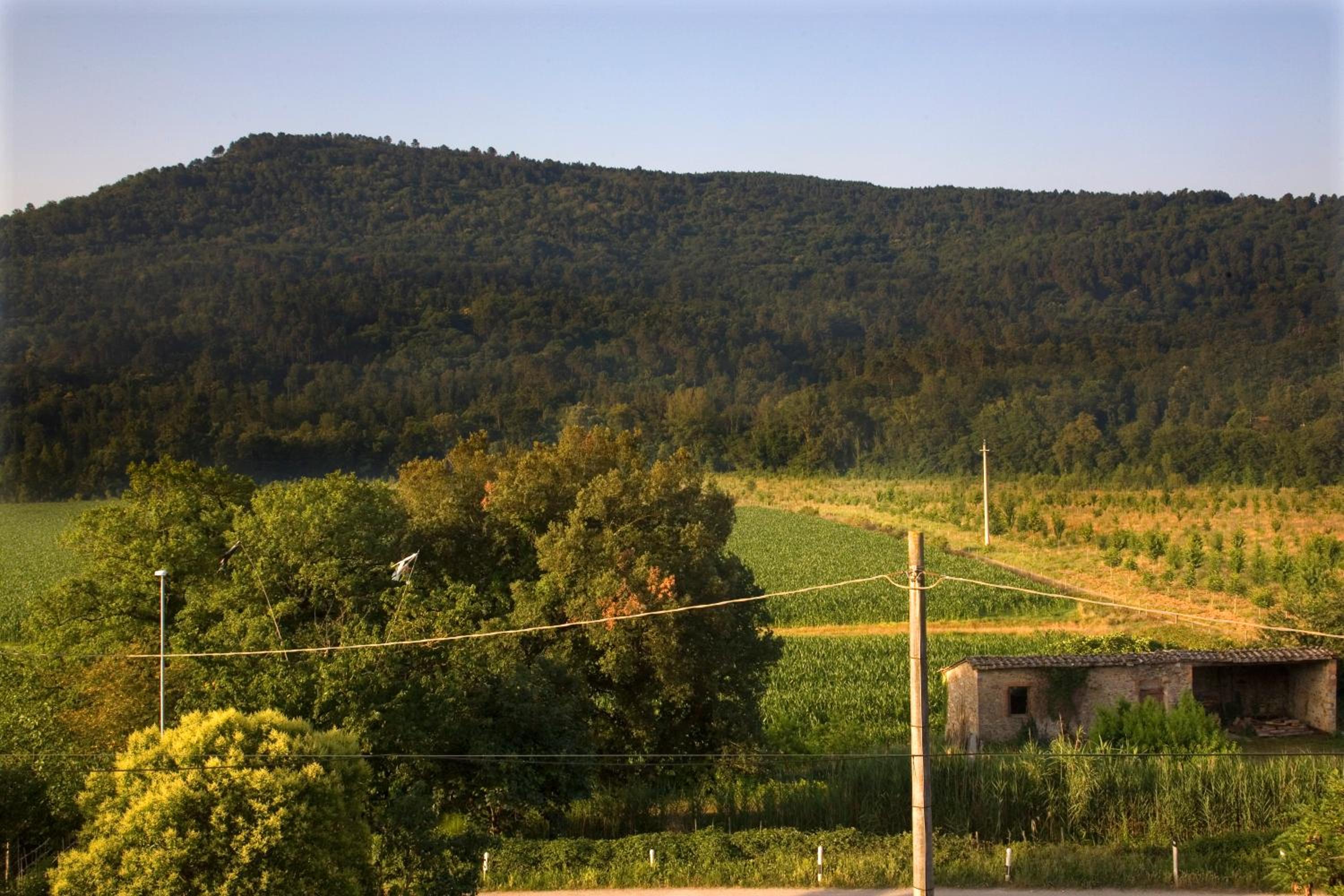 Villa Amedeo