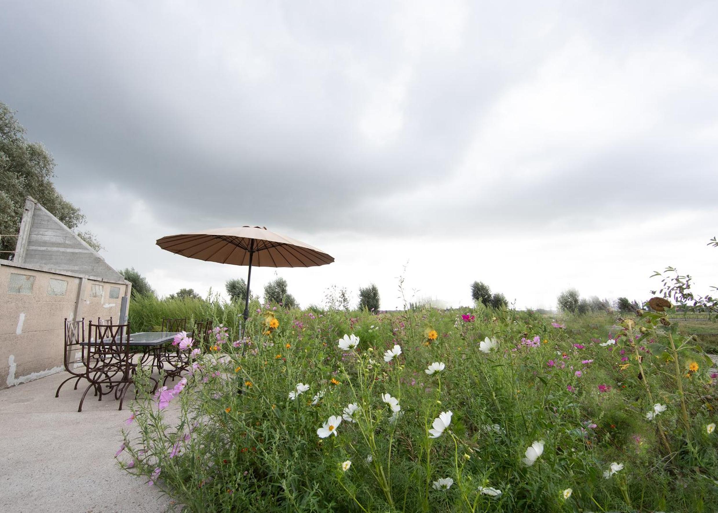 Landelijk vakantiehuis in Diksmuide met een tuin en vijver