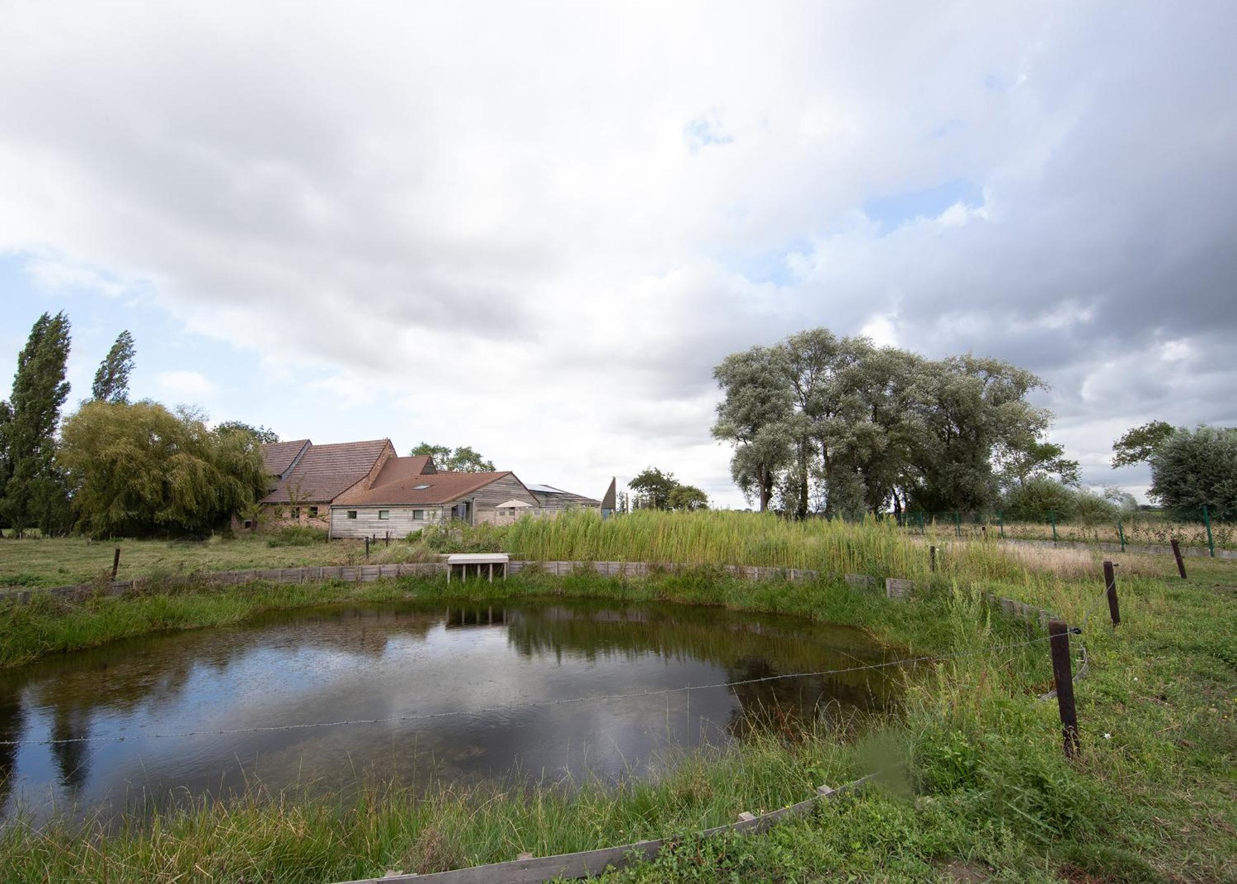Landelijk vakantiehuis in Diksmuide met een tuin en vijver