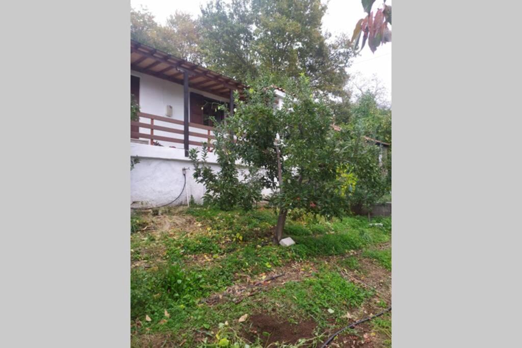 Maro's Guesthouse photo 5