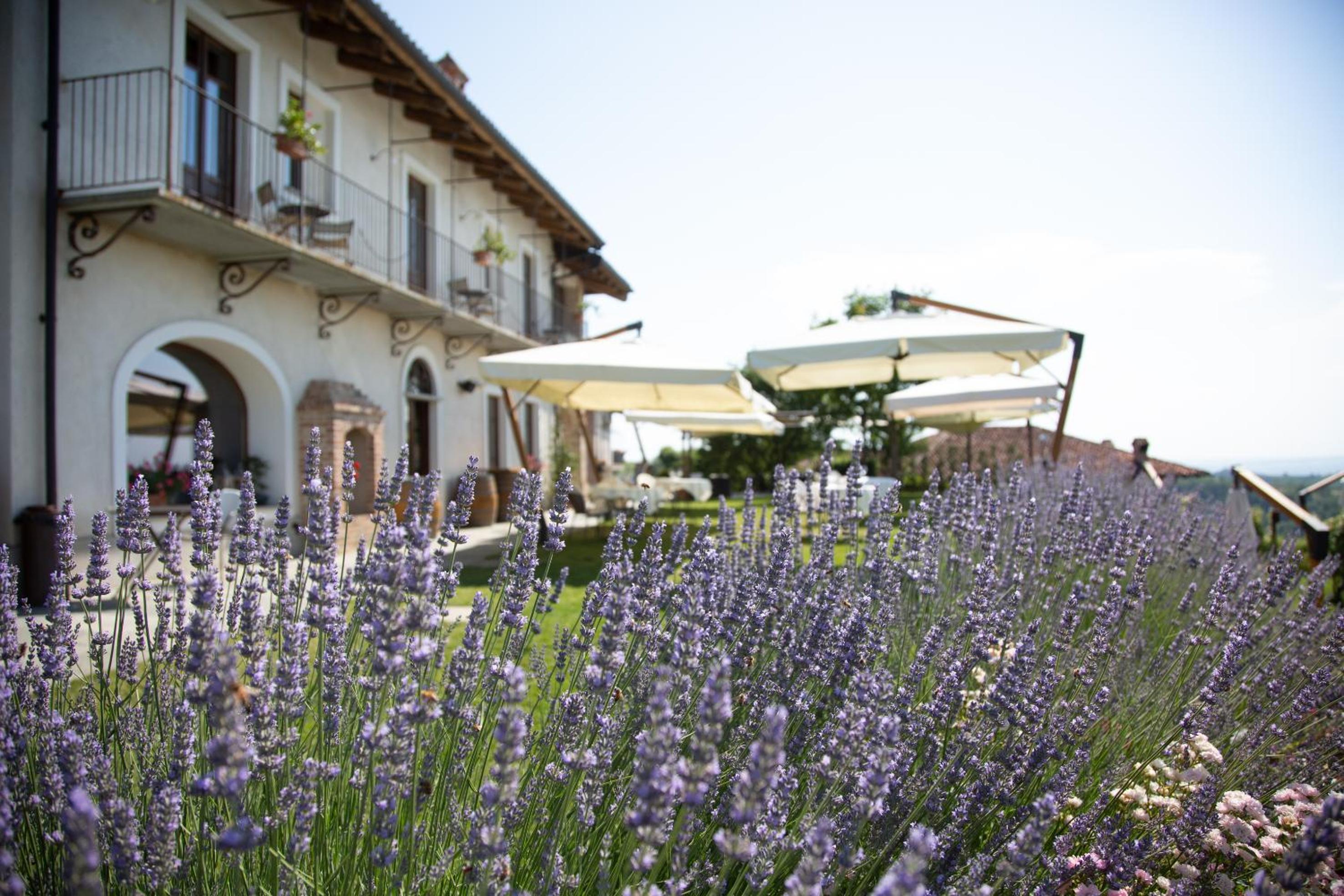 Agriturismo La Torricella