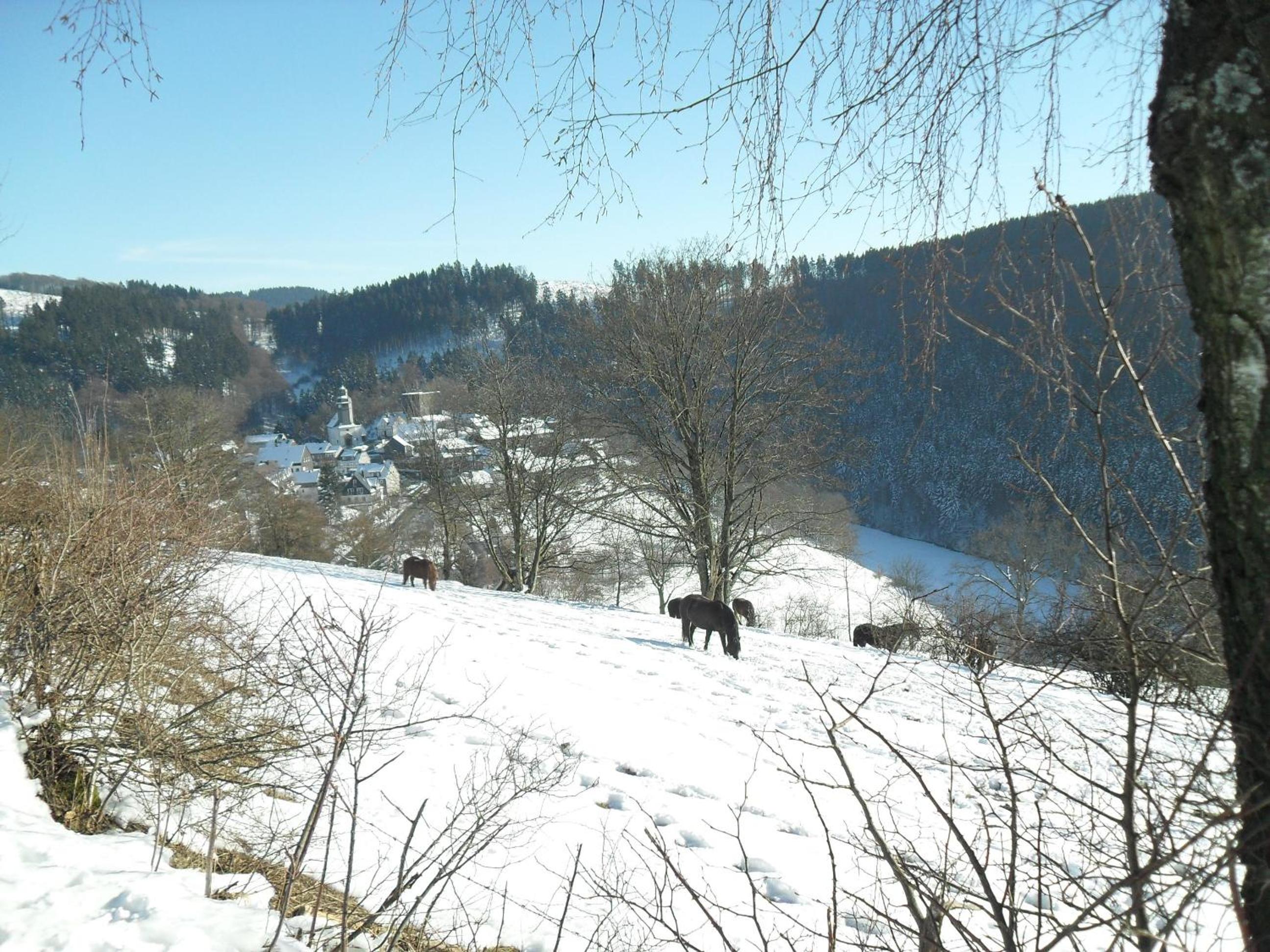 Ferienwohnungen Sonnenpfad