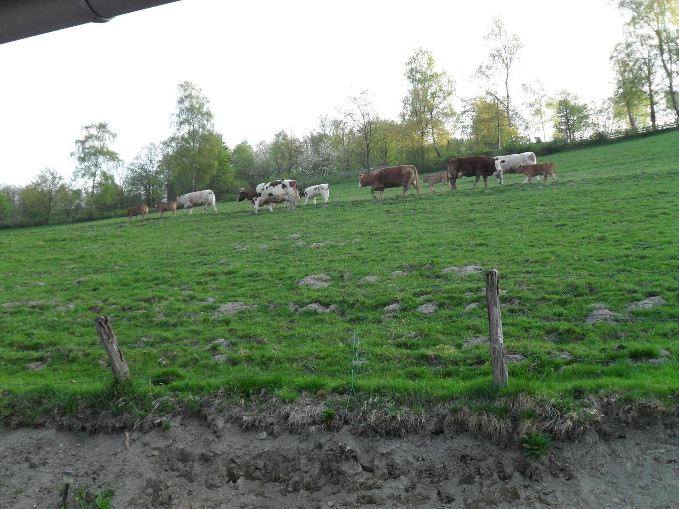 Ferienwohnungen Sonnenpfad