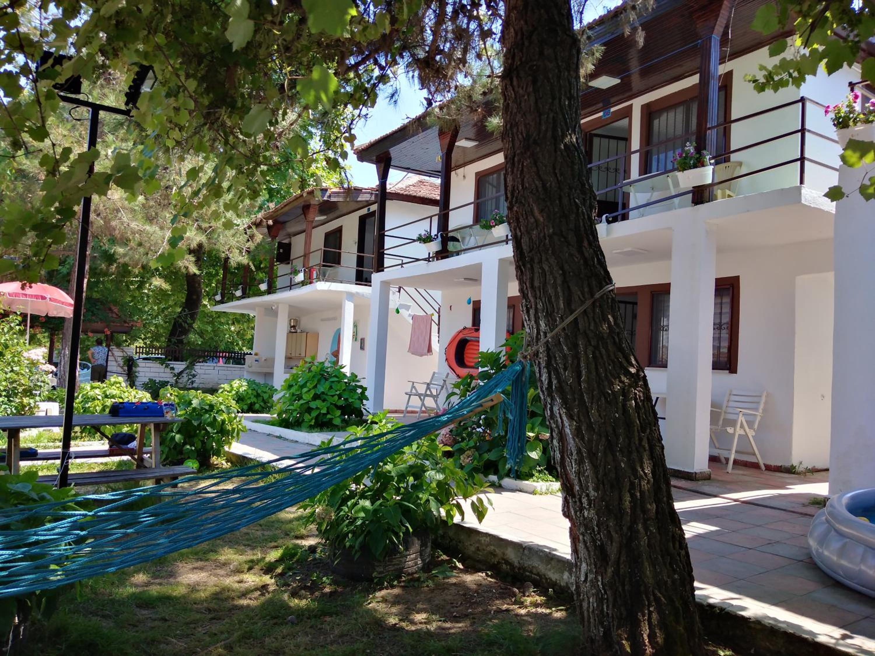 Photo 6