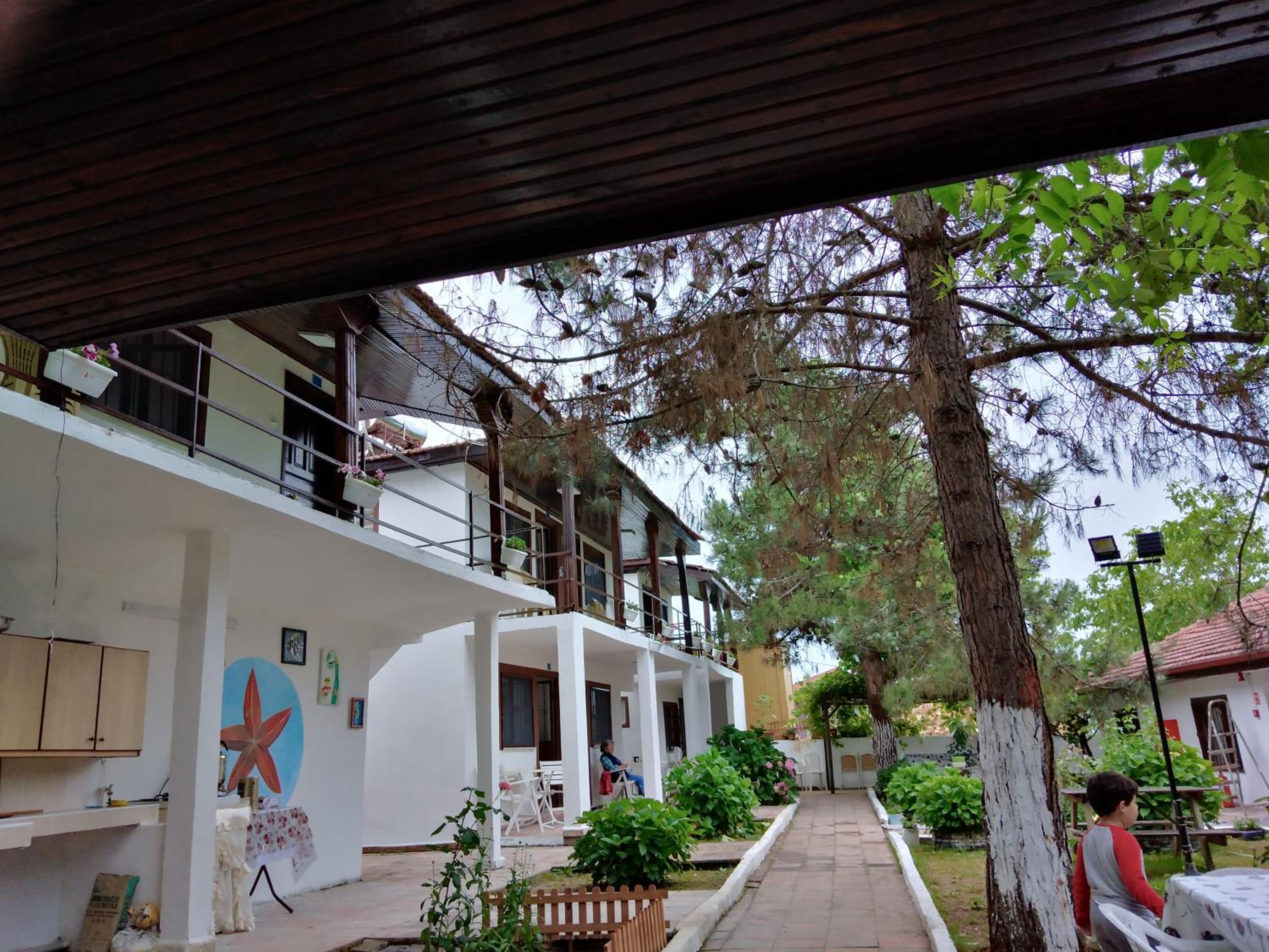 Photo 11