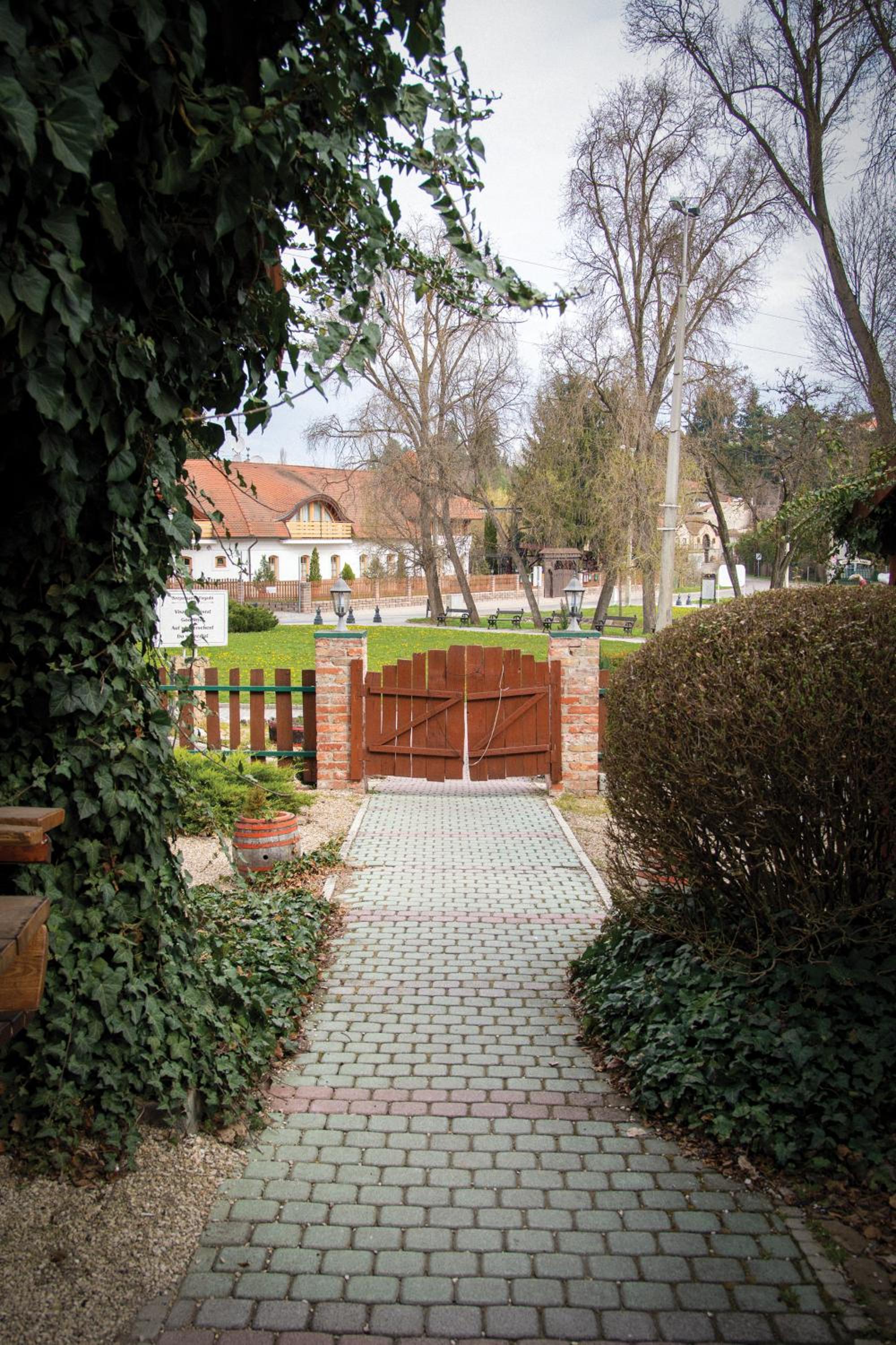 Photo 42