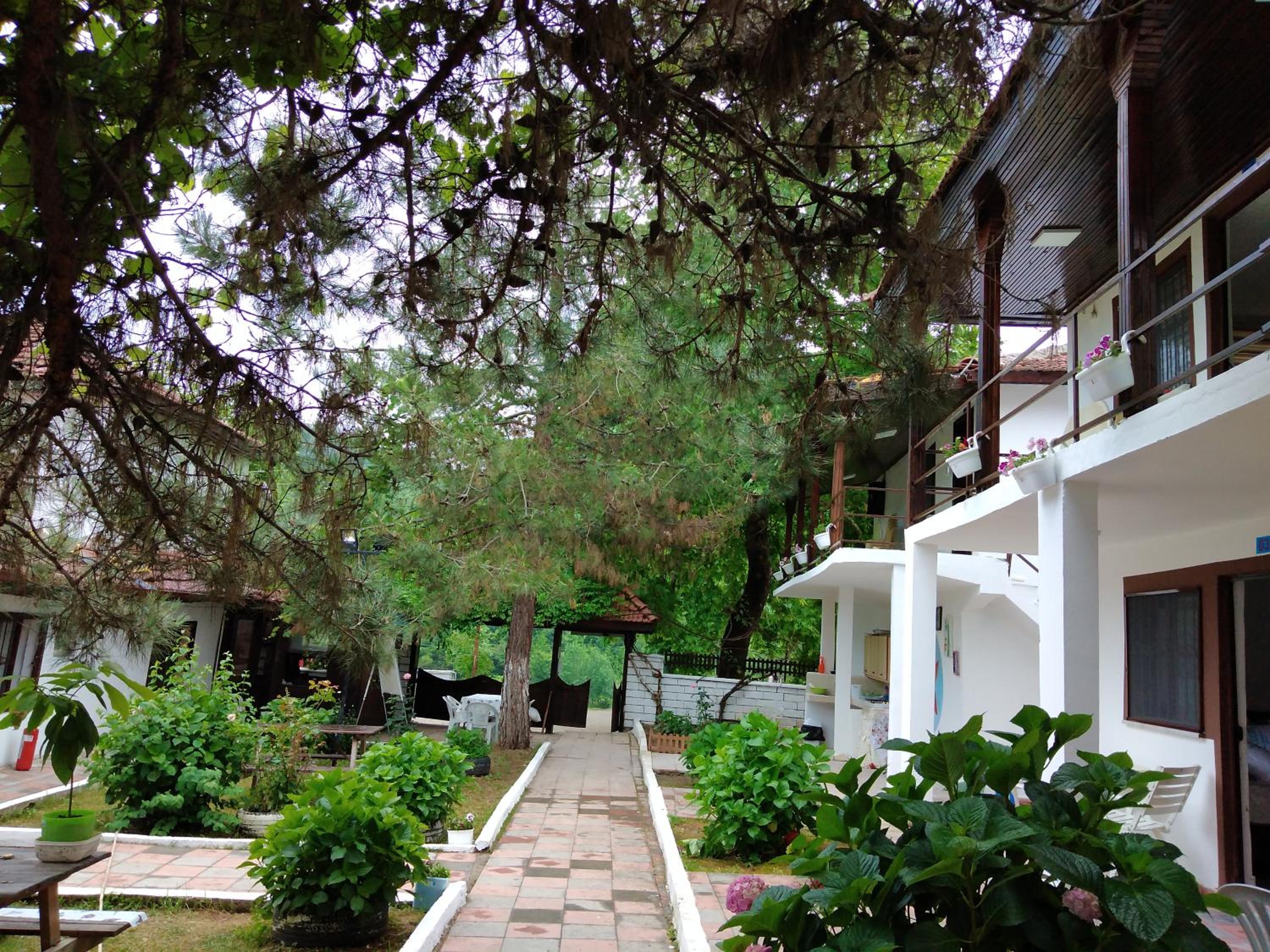 Photo 15